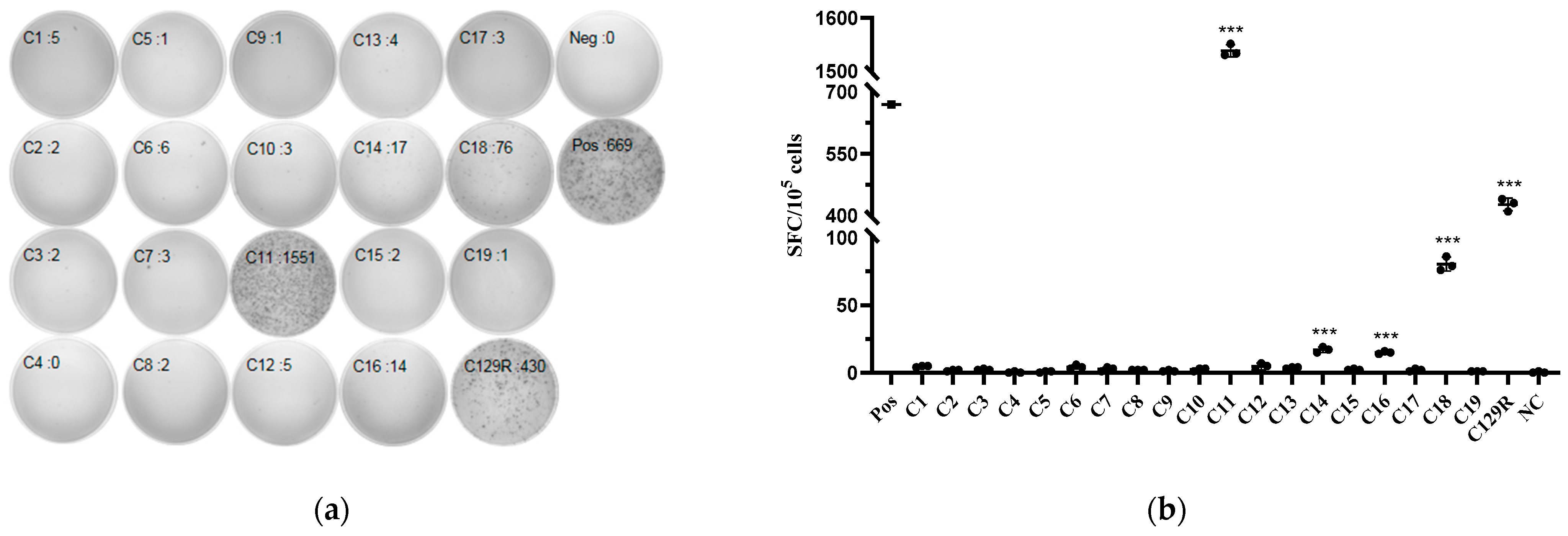 Microorganisms 12 01056 g008