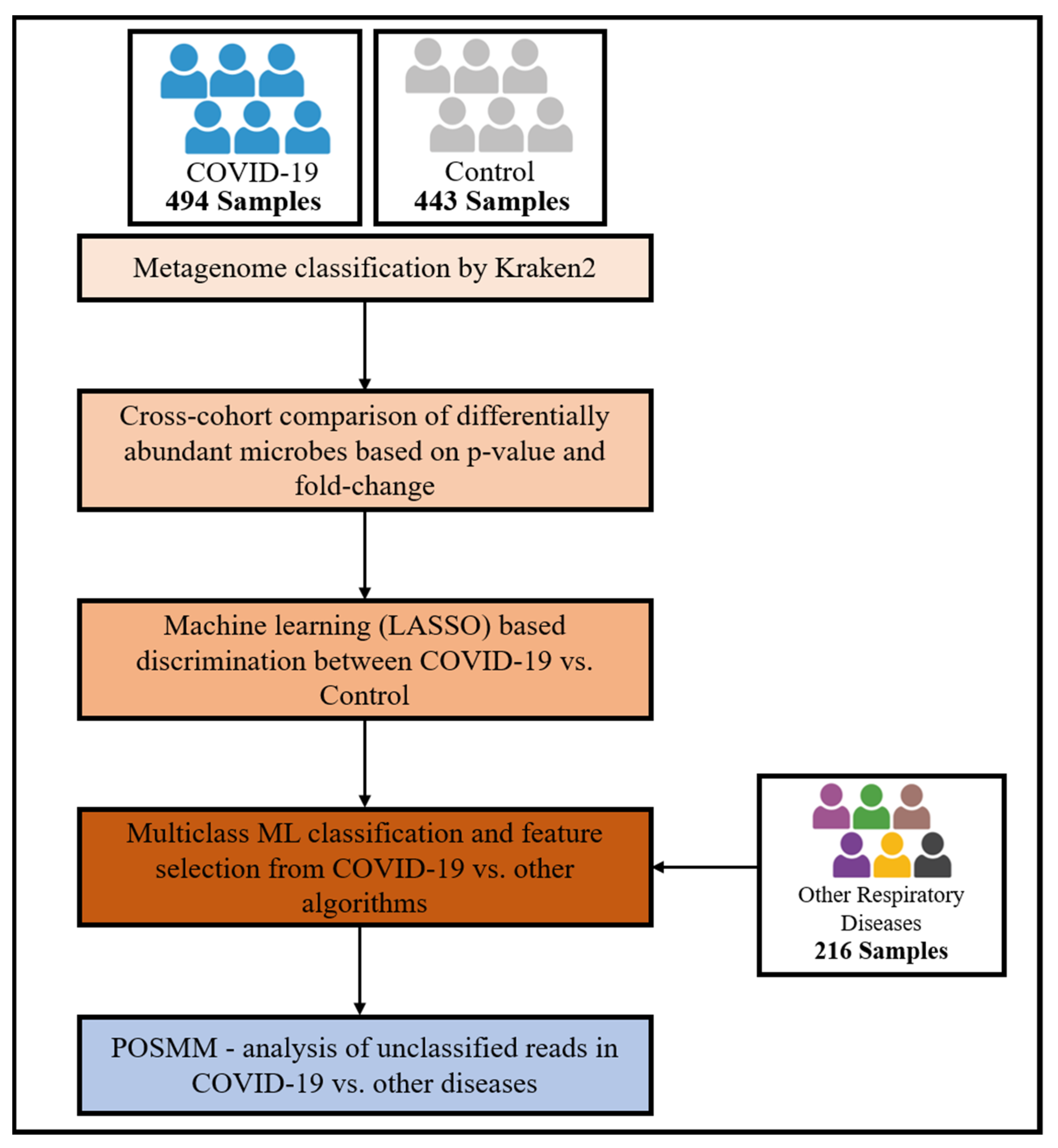 Microorganisms 12 01058 g001