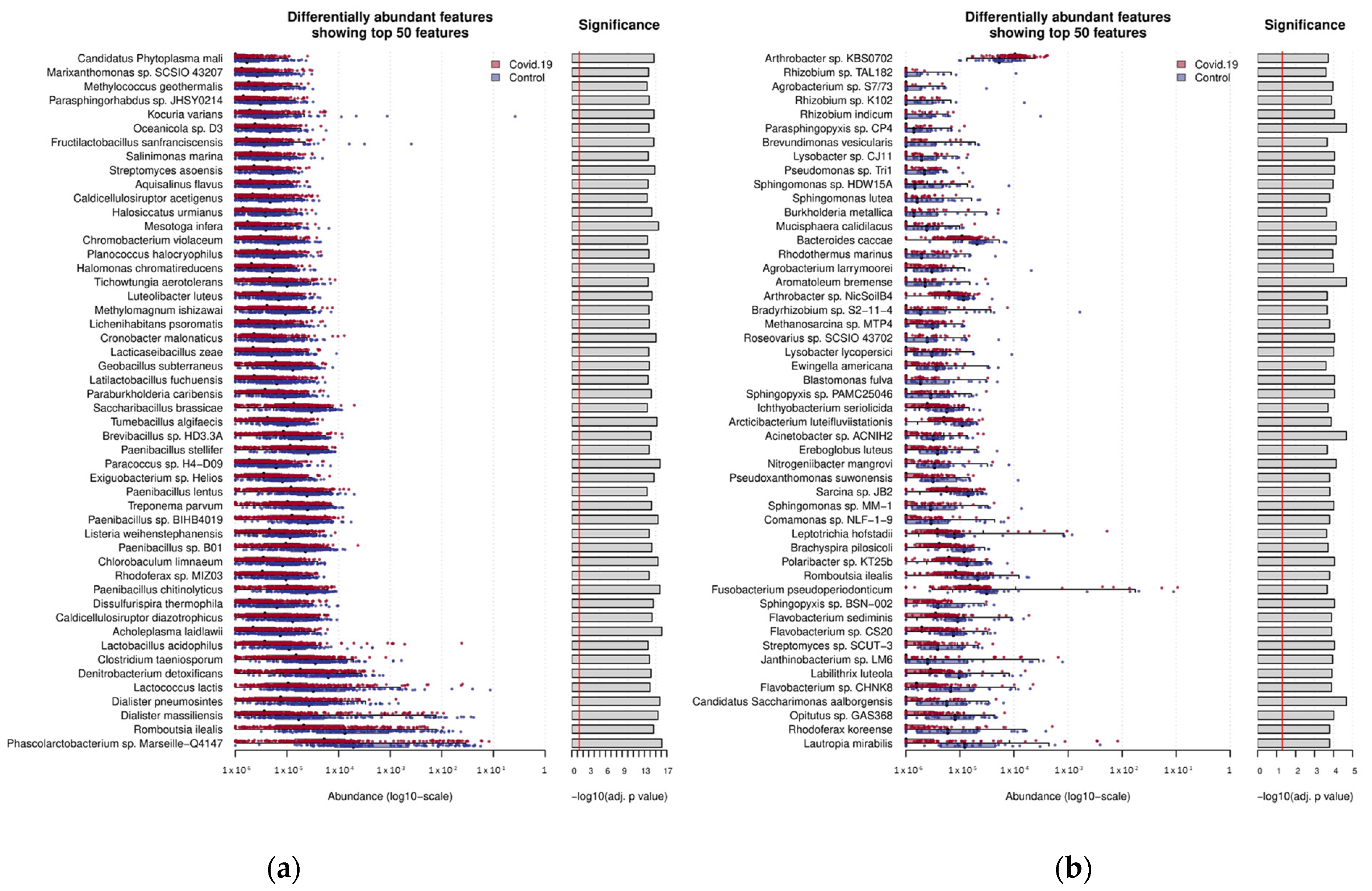 Microorganisms 12 01058 g002