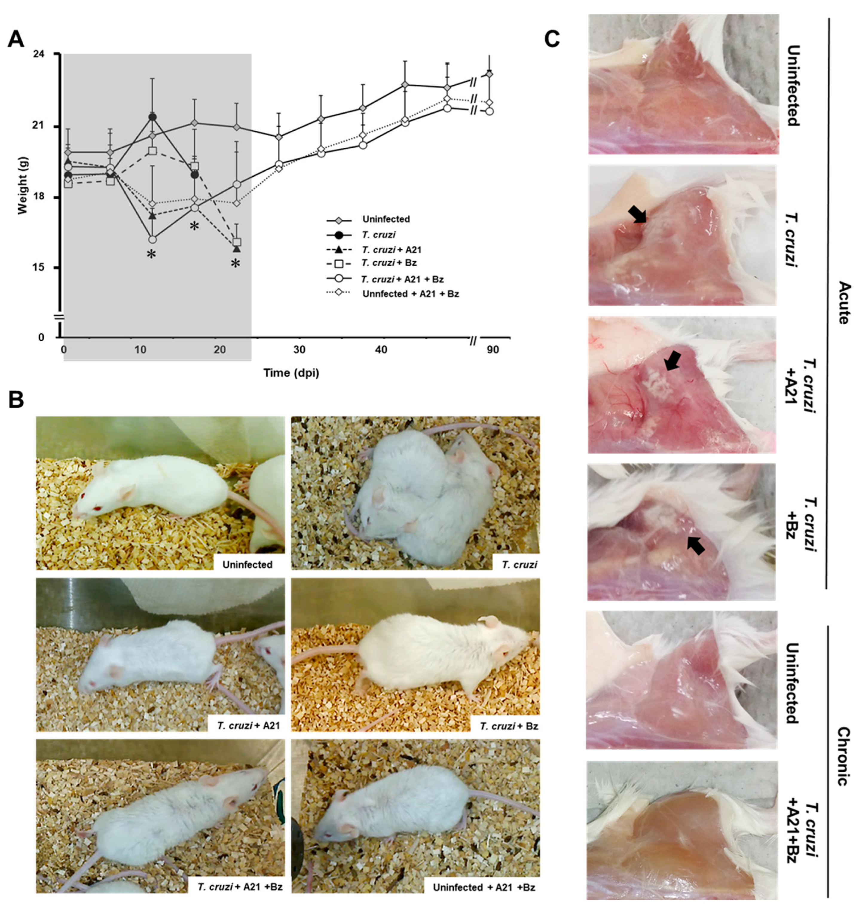 Microorganisms 12 01064 g006