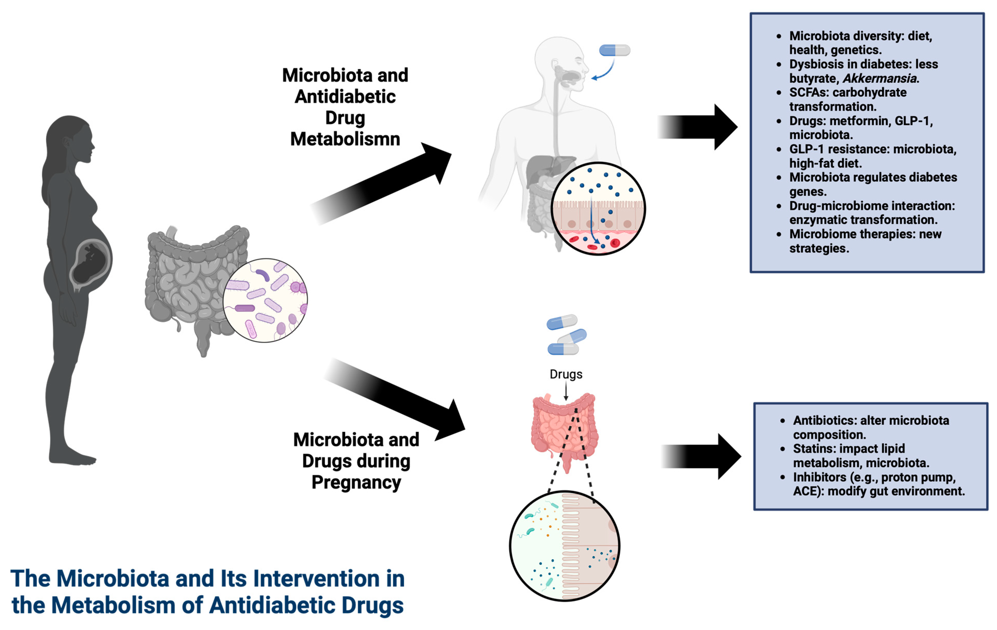 Microorganisms 12 01070 g002