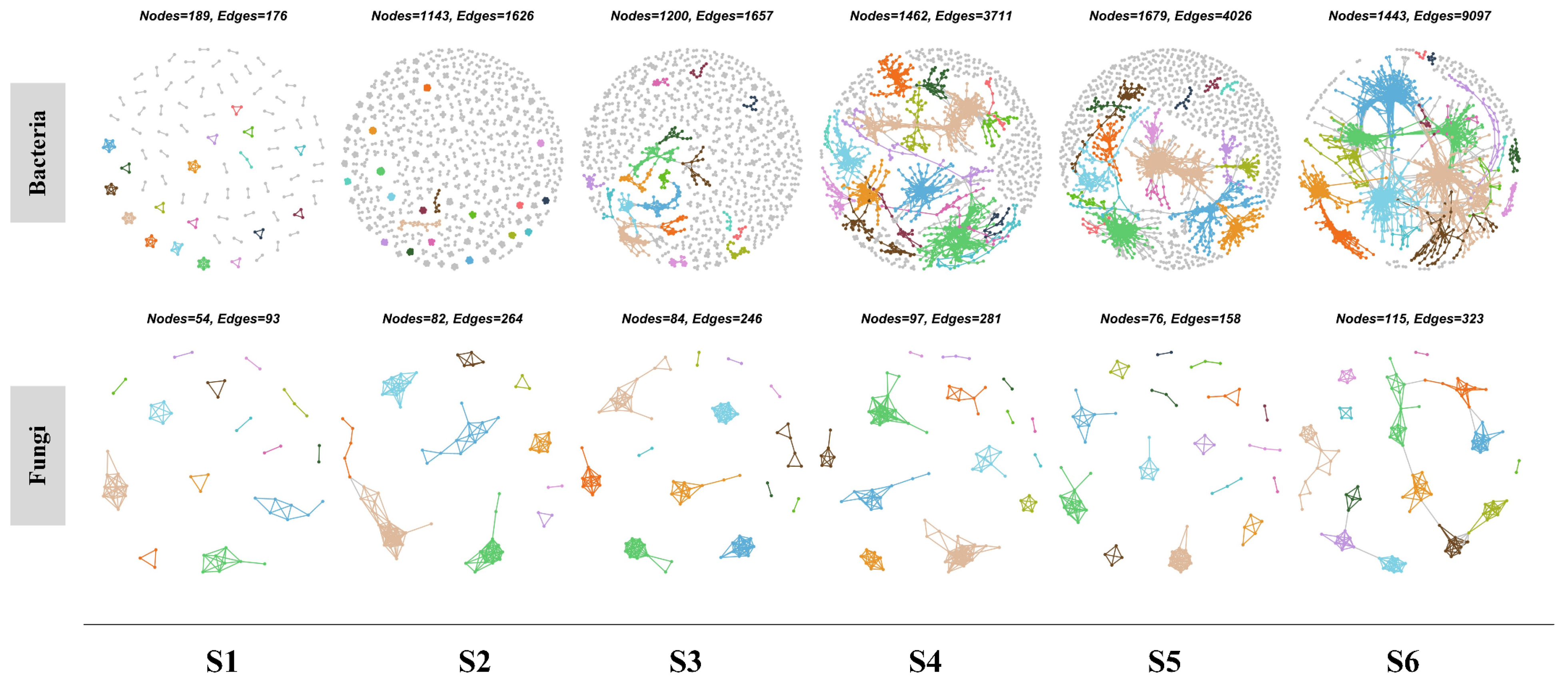 Microorganisms 12 01075 g005