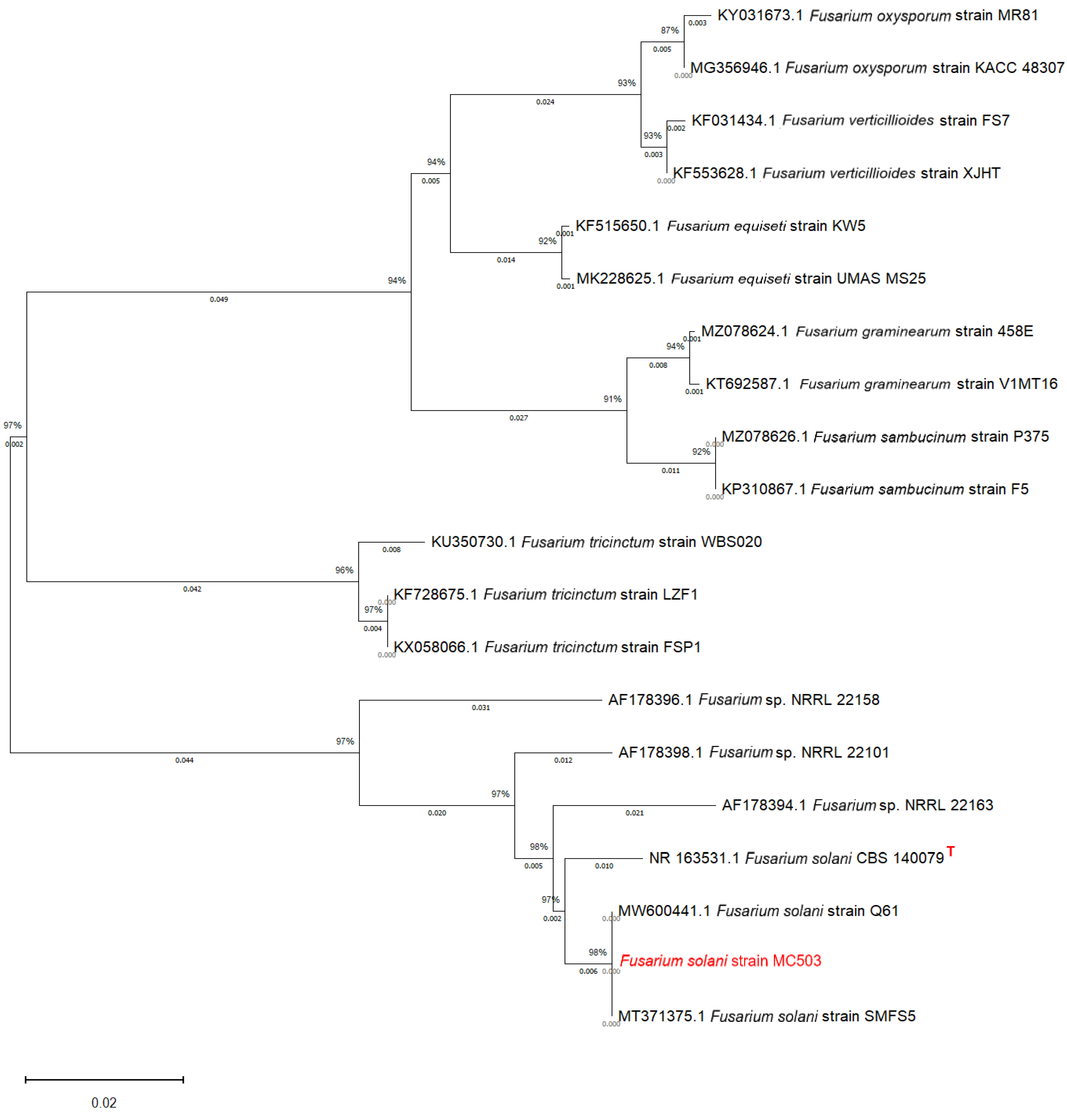 Microorganisms 12 01088 g002