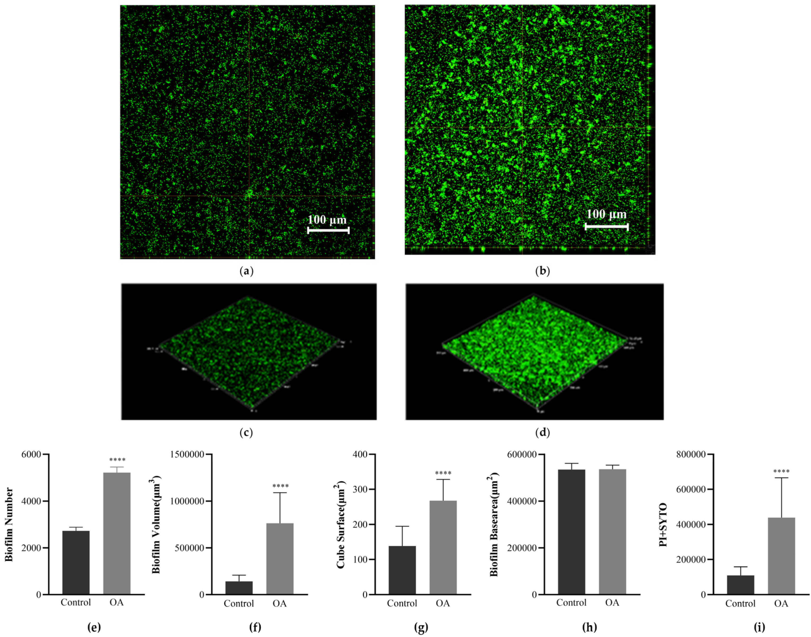 Microorganisms 12 01097 g003