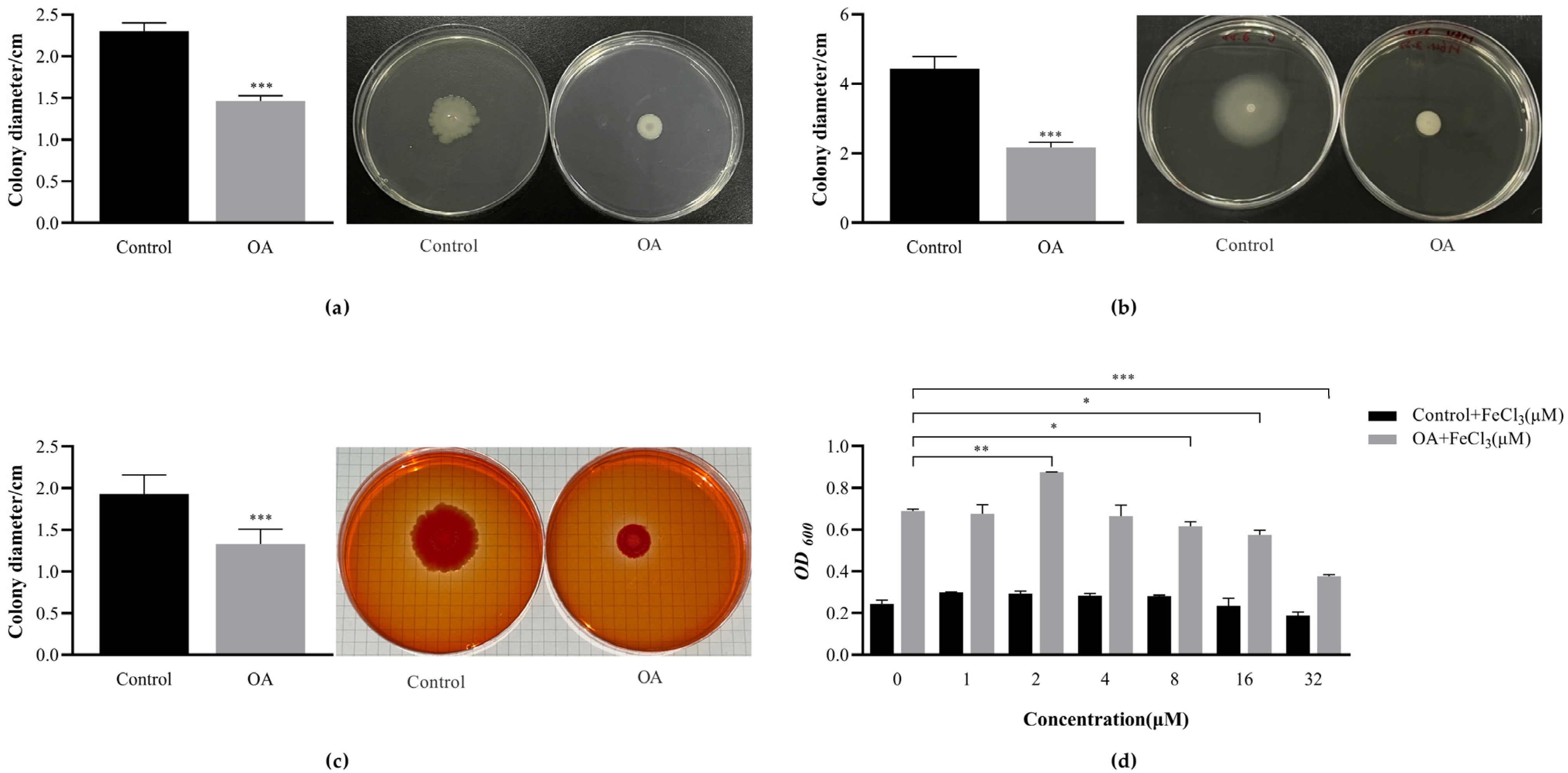 Microorganisms 12 01097 g005