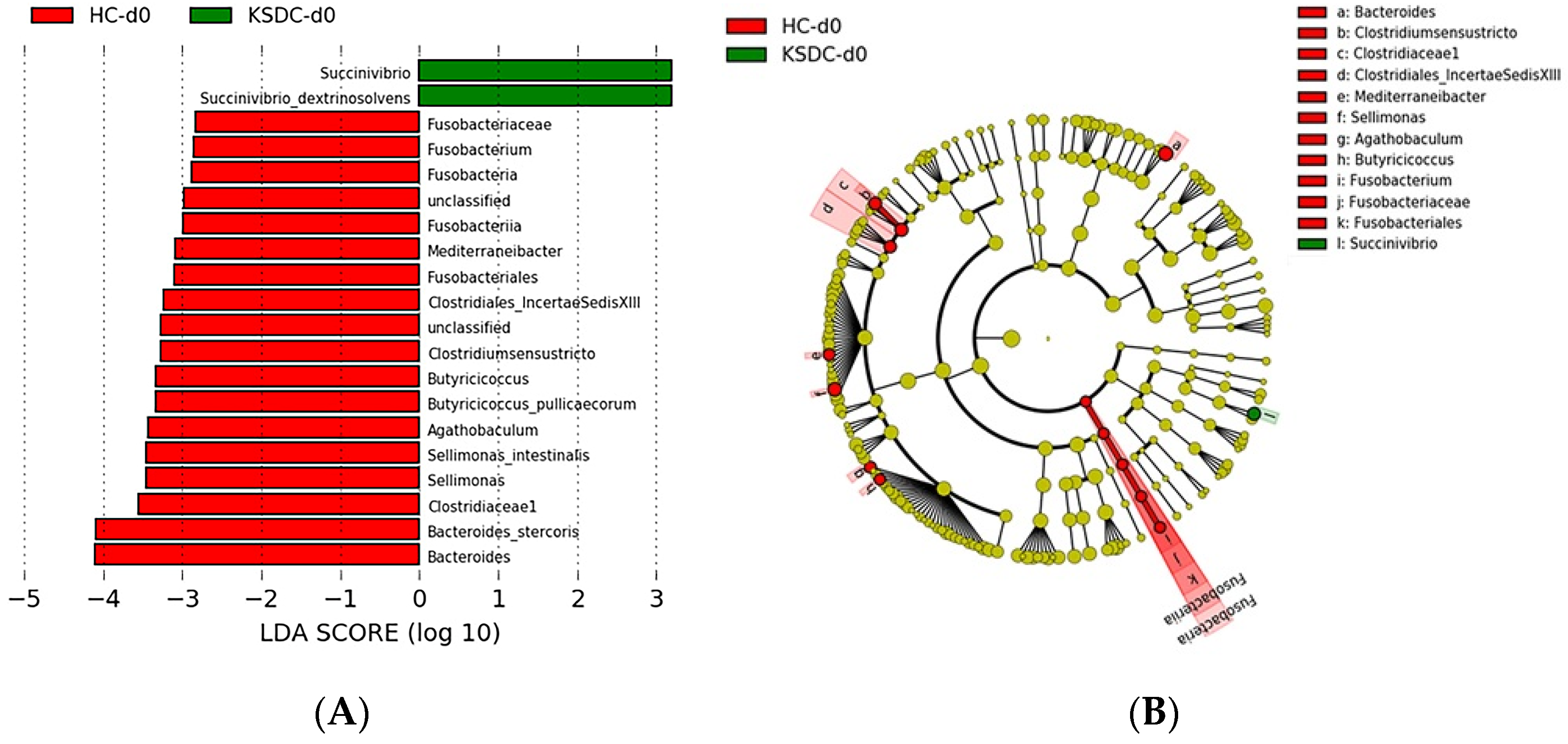 Microorganisms 12 01098 g005