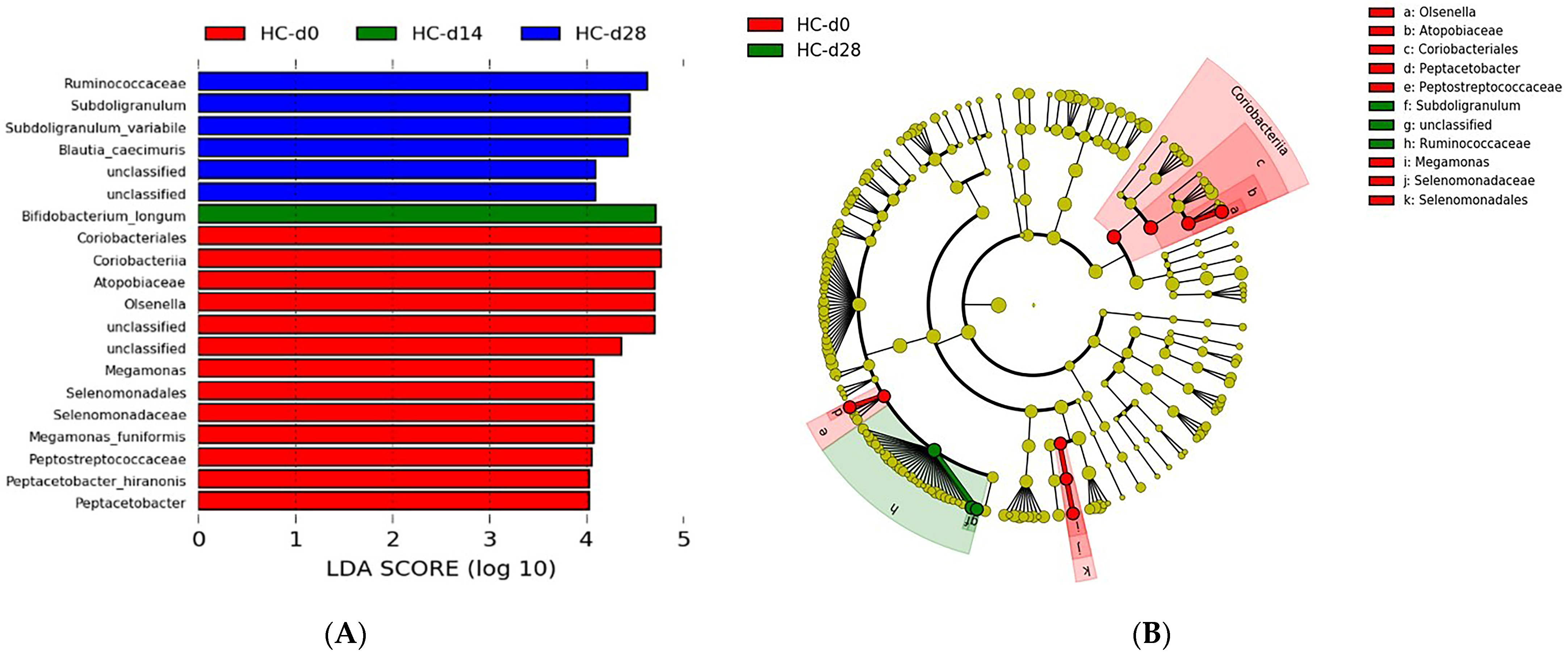 Microorganisms 12 01098 g008