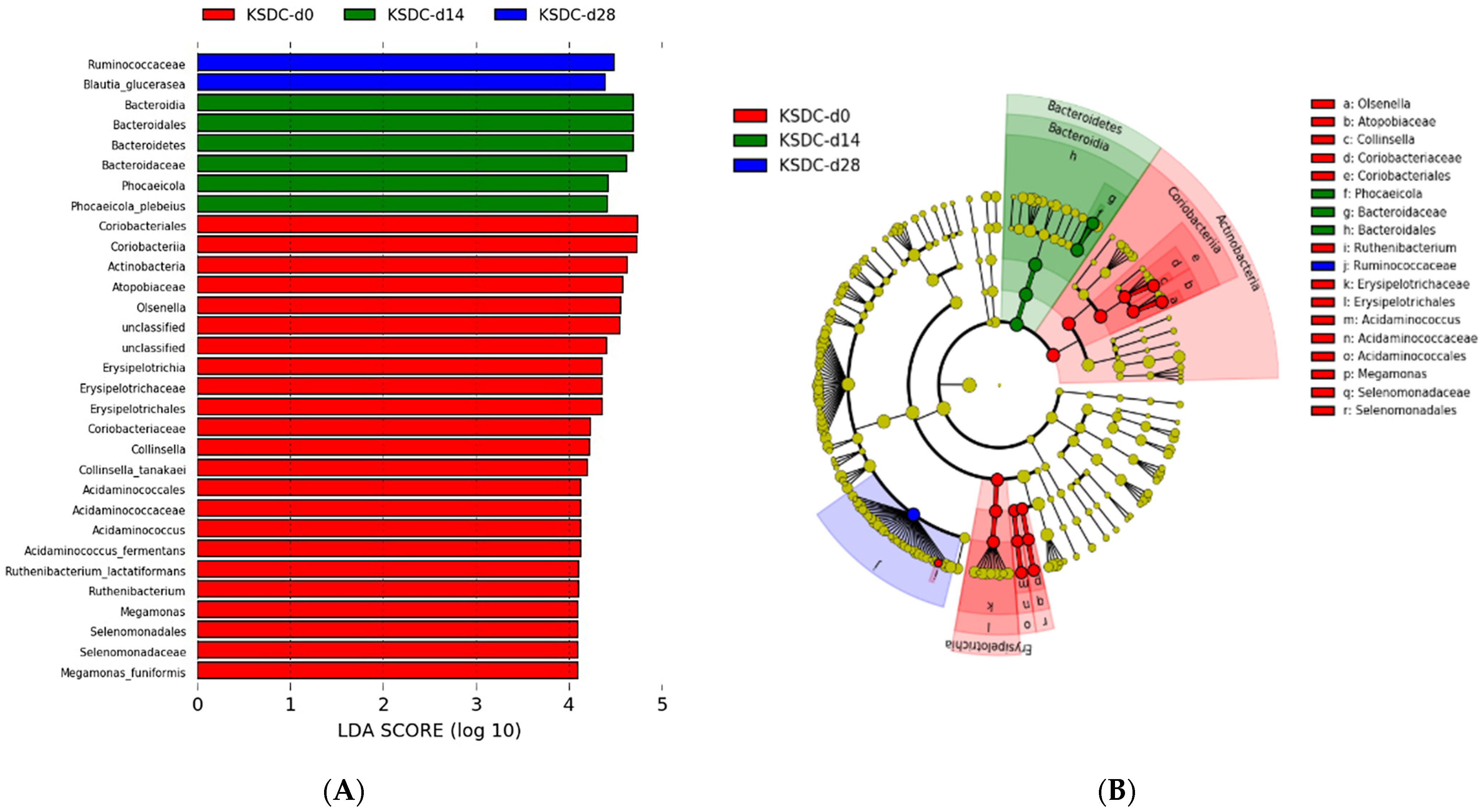 Microorganisms 12 01098 g011