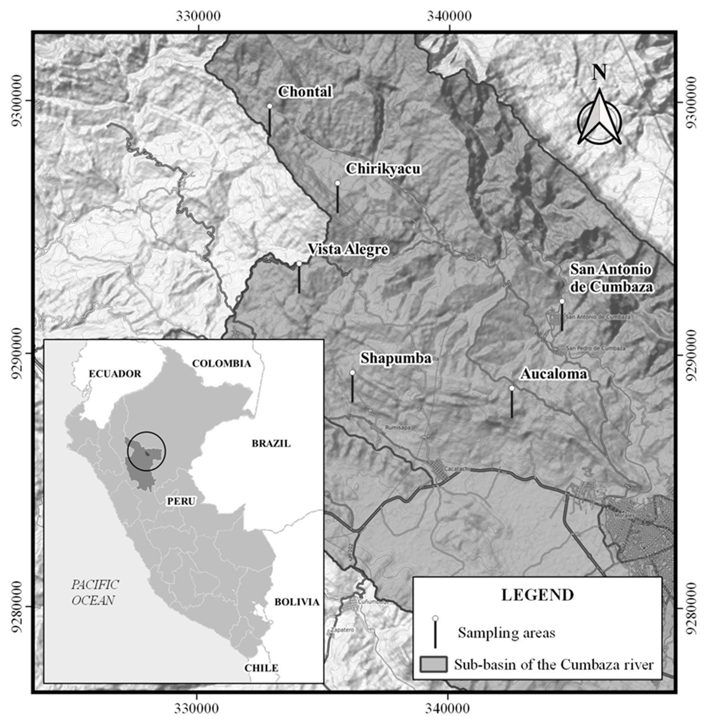 Microorganisms 12 01101 g001