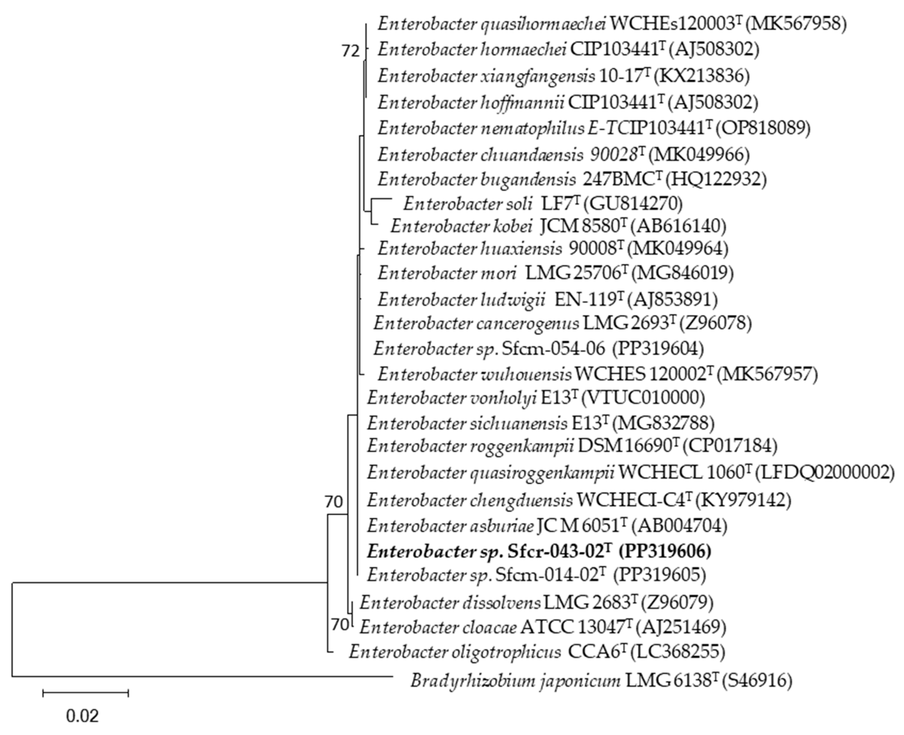 Microorganisms 12 01101 g004