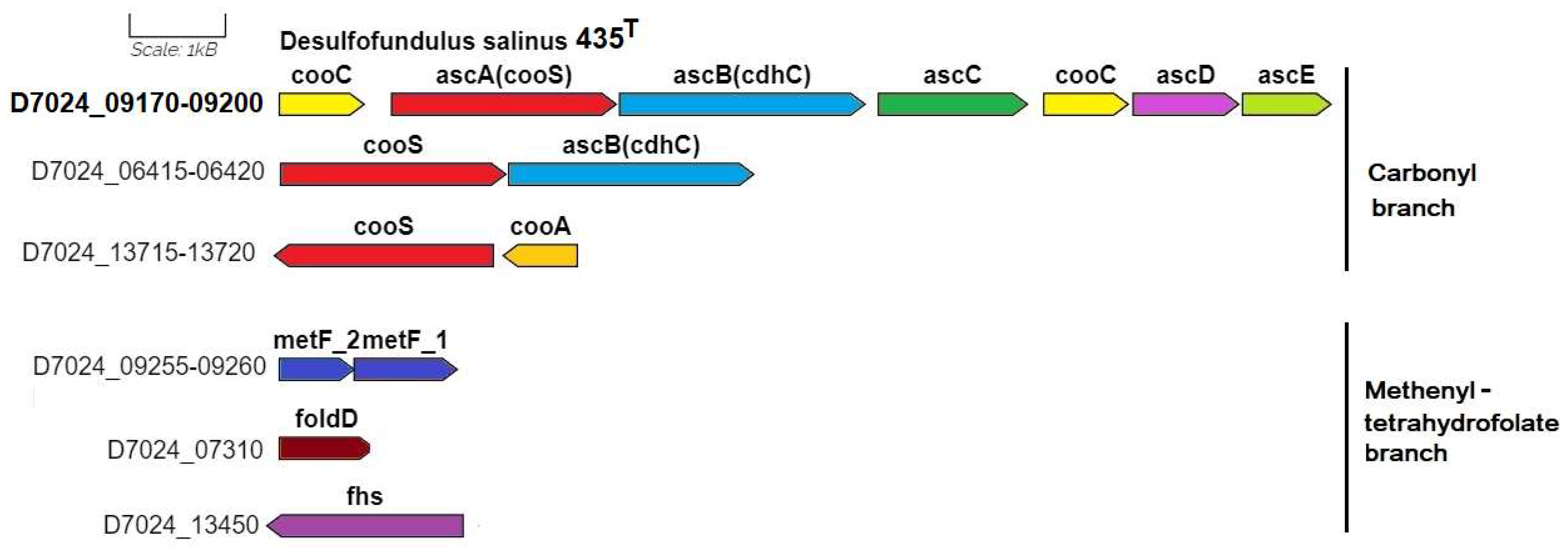 Microorganisms 12 01115 g004