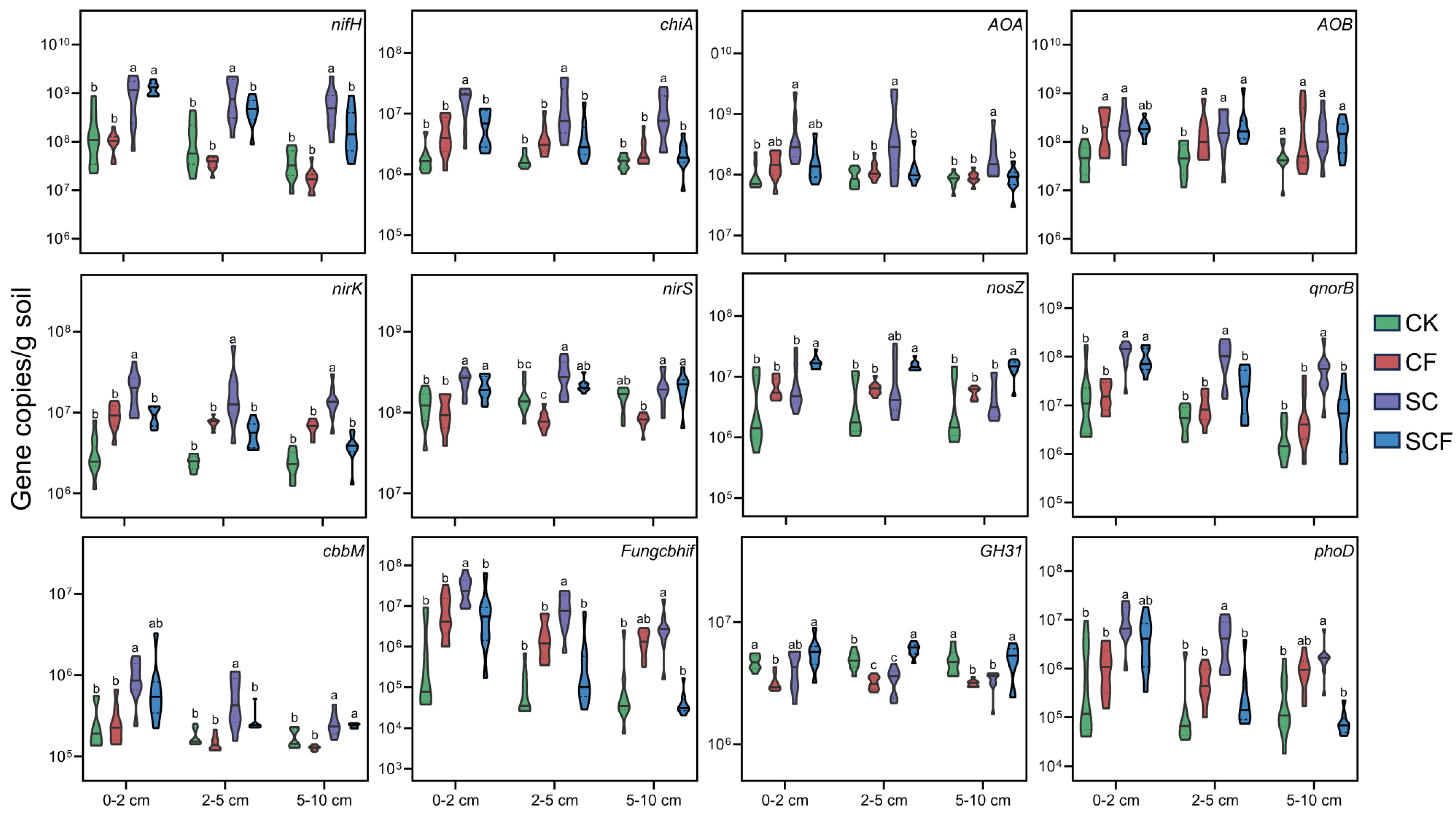 Microorganisms 12 01117 g004