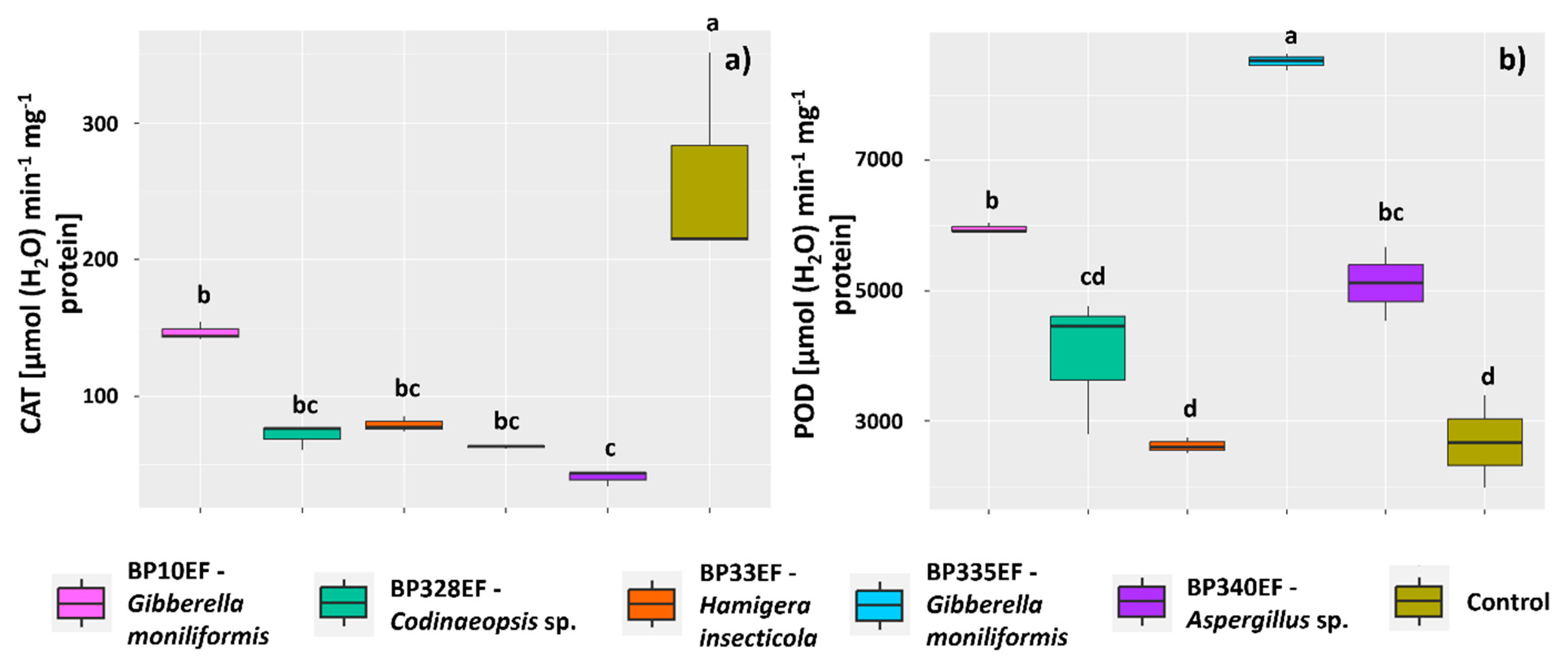 Microorganisms 12 01124 g008