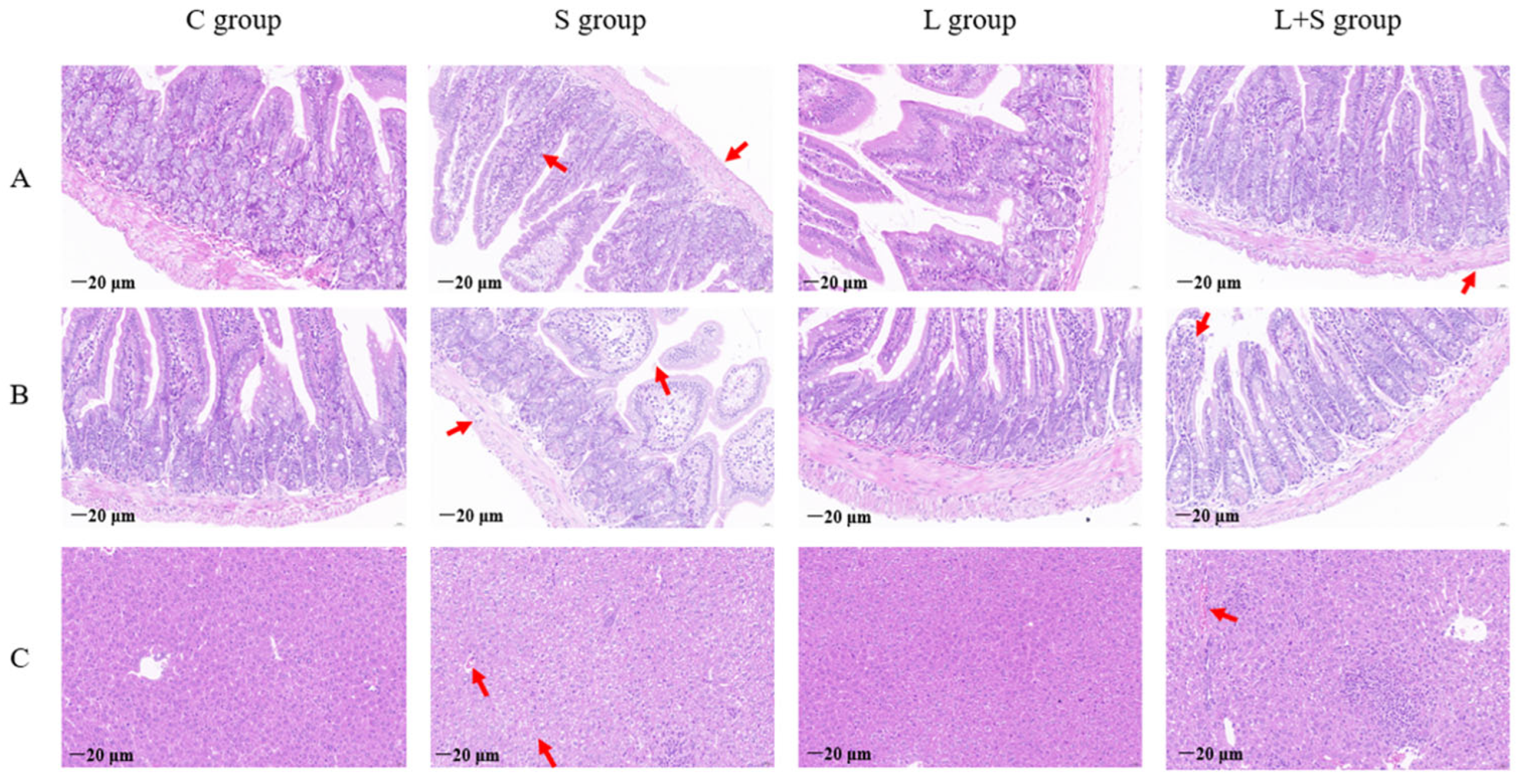 Microorganisms 12 01135 g003