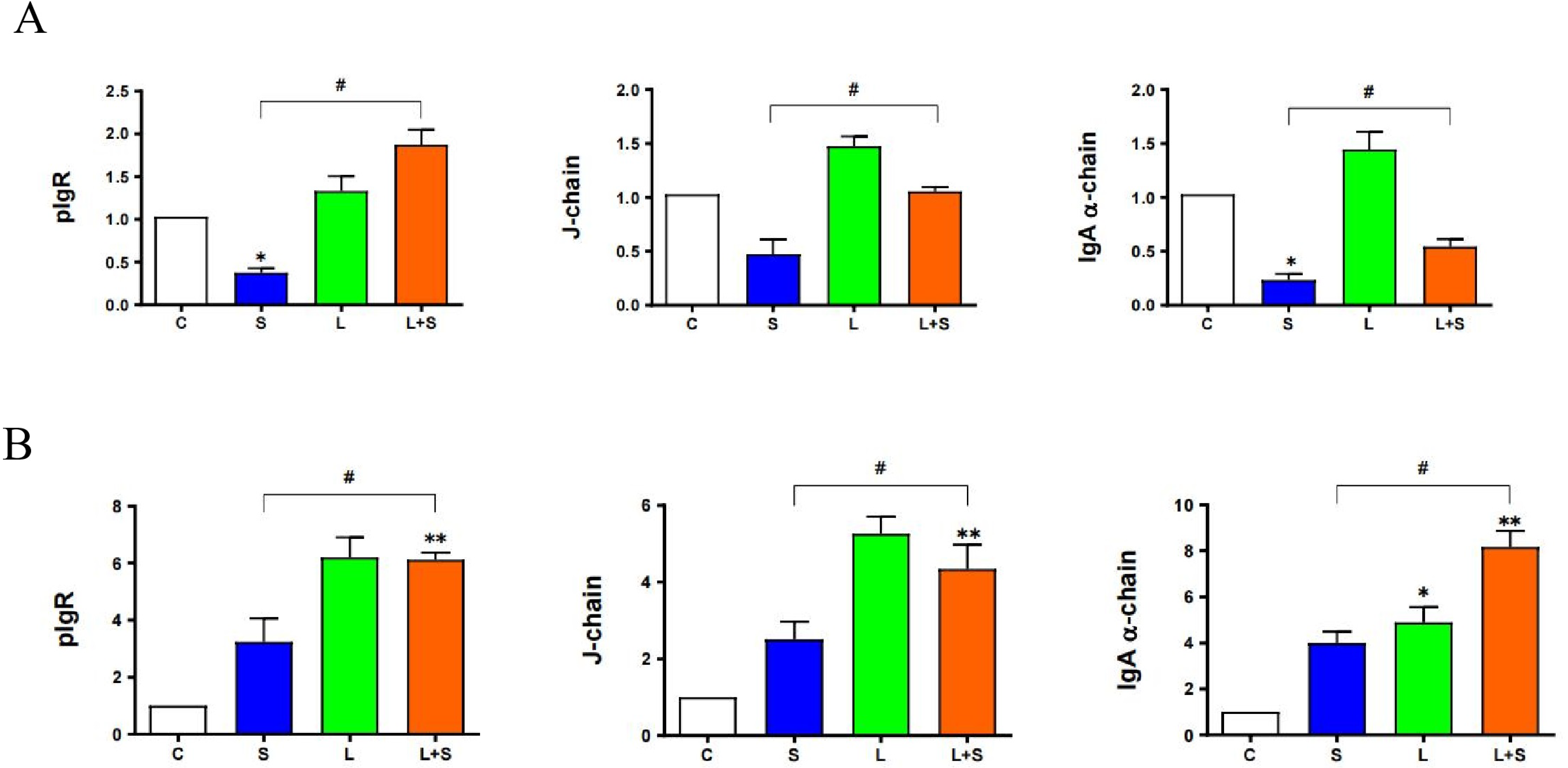 Microorganisms 12 01135 g006