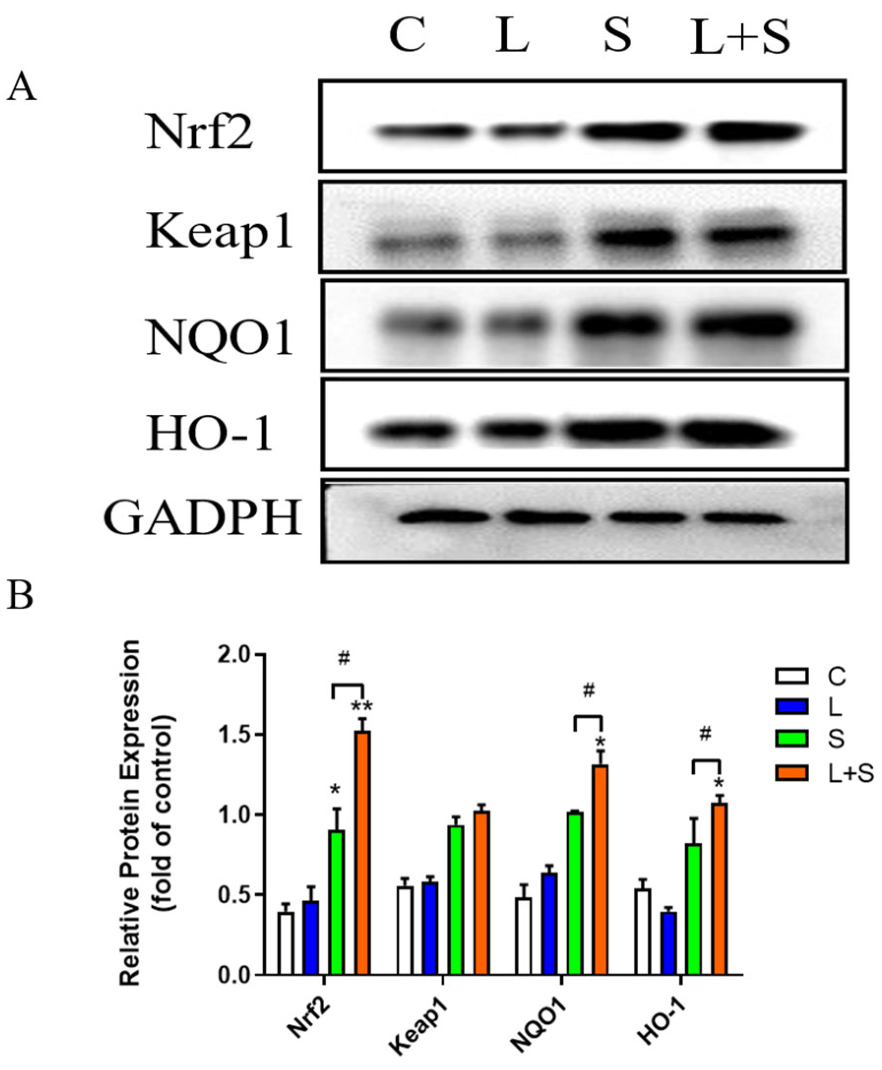 Microorganisms 12 01135 g007