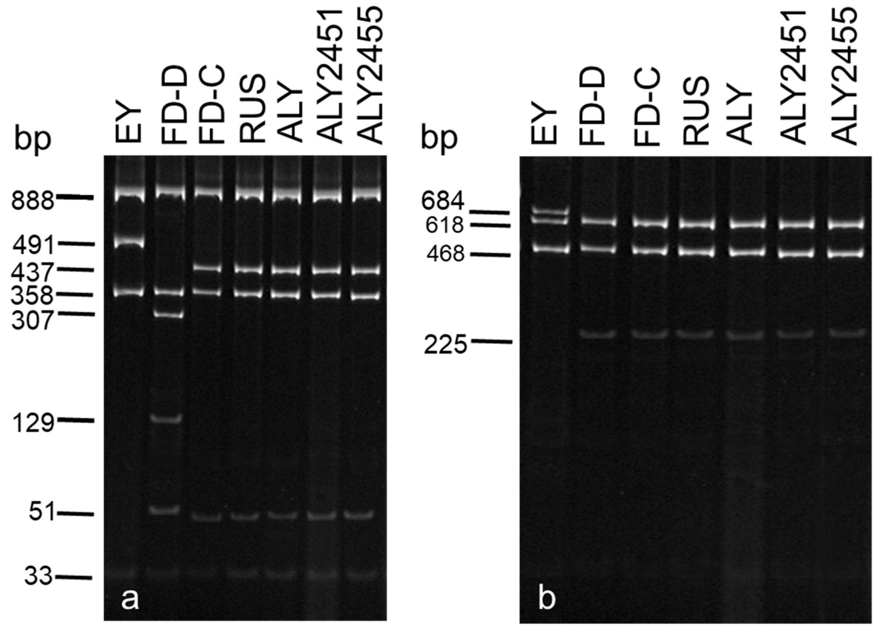 Microorganisms 12 01140 g003