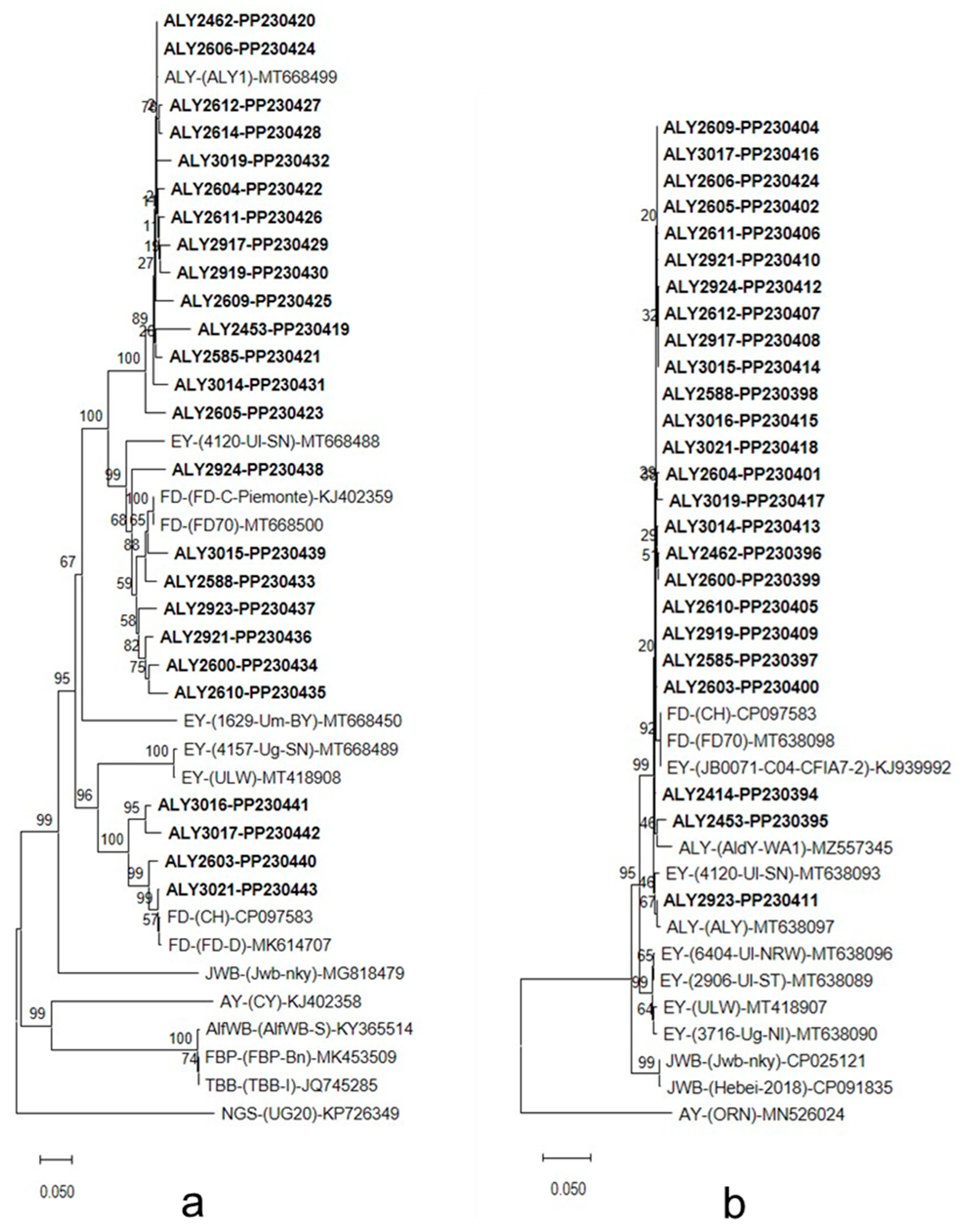 Microorganisms 12 01140 g004