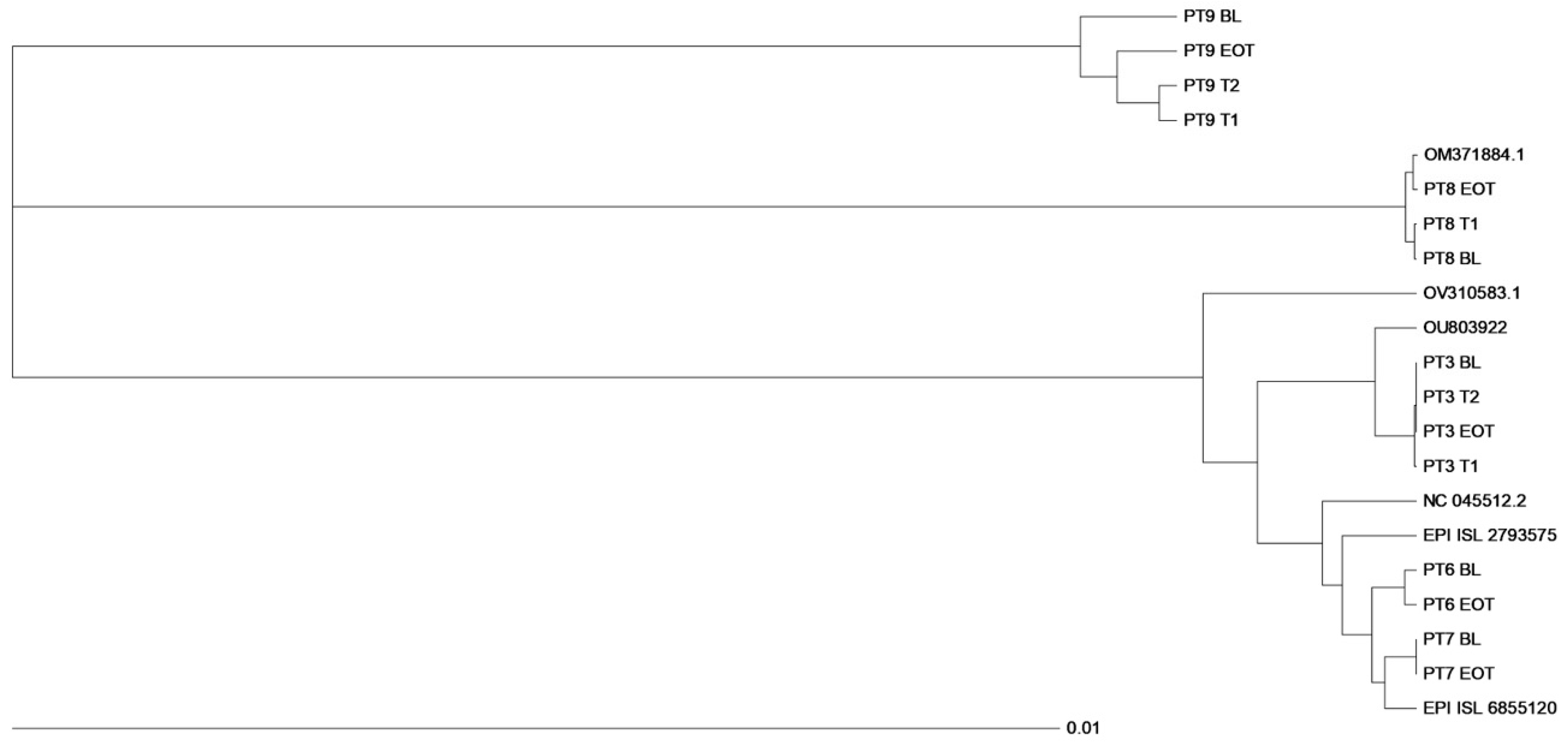 Microorganisms 12 01146 g002