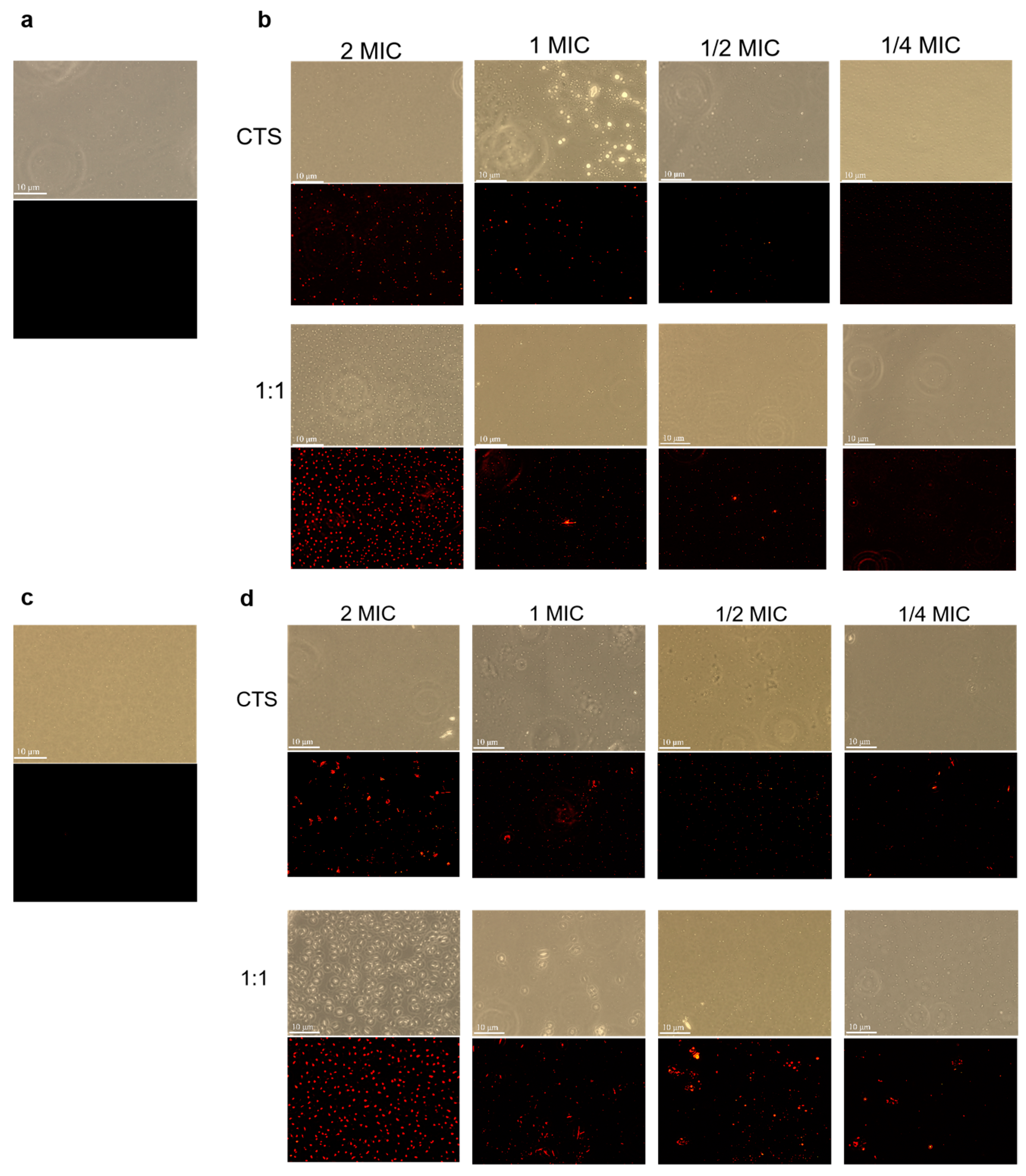 Microorganisms 12 01149 g005