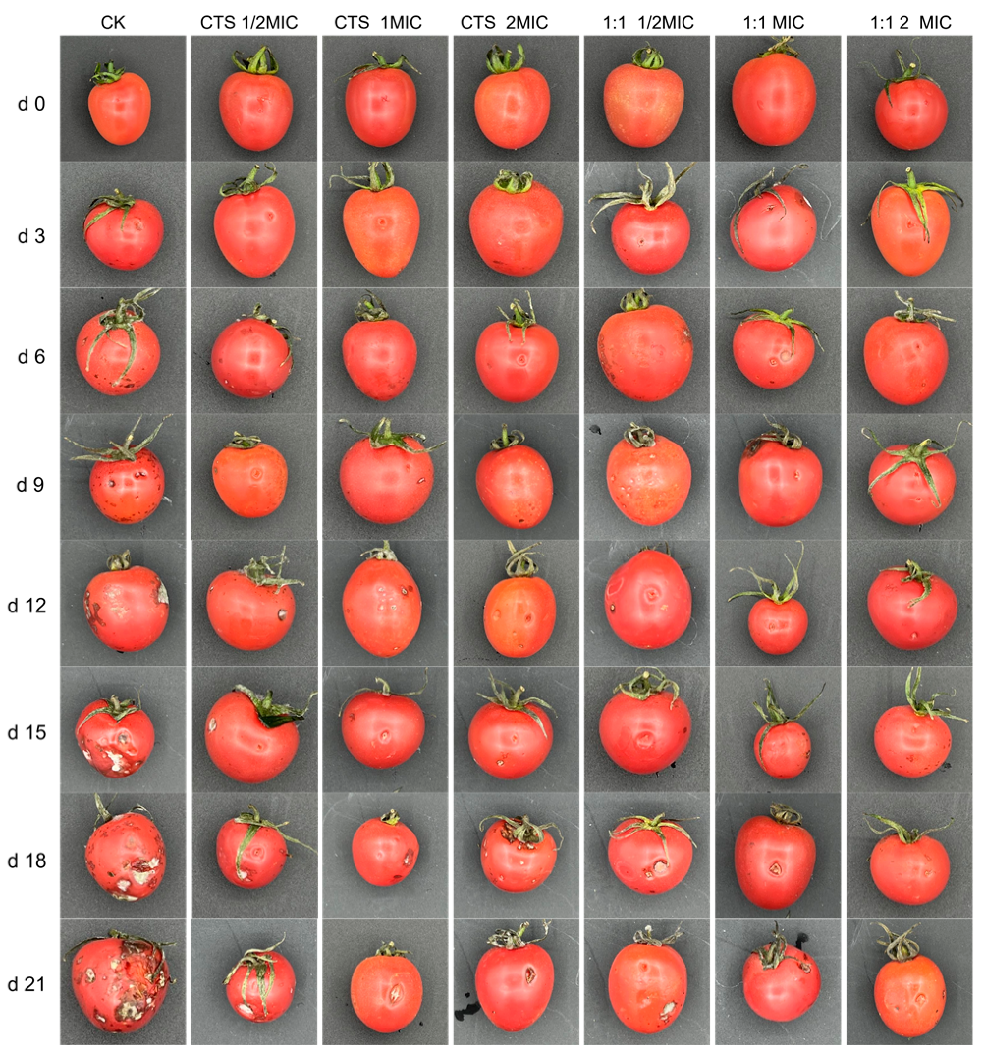 Microorganisms 12 01149 g009