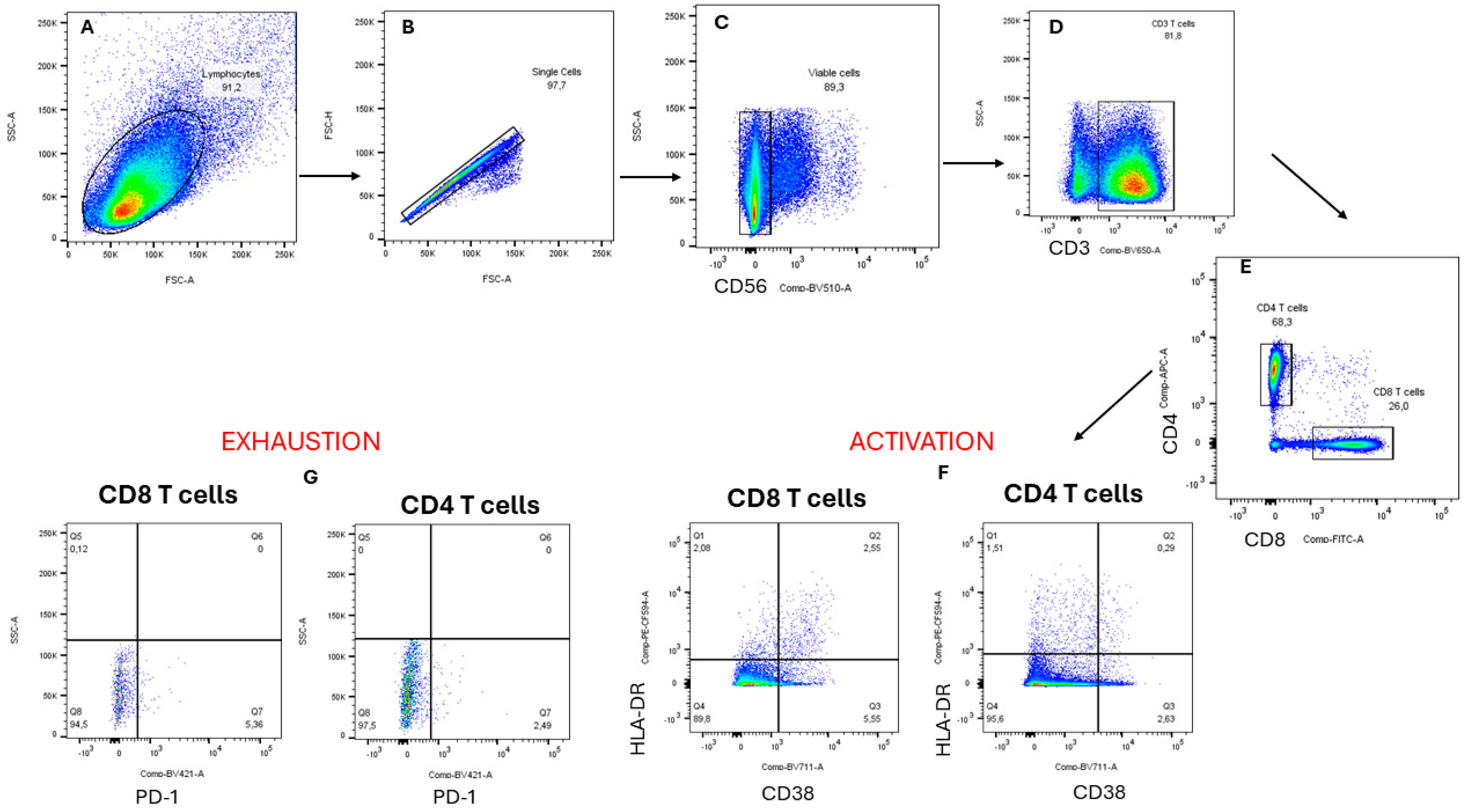 Microorganisms 12 01150 g005