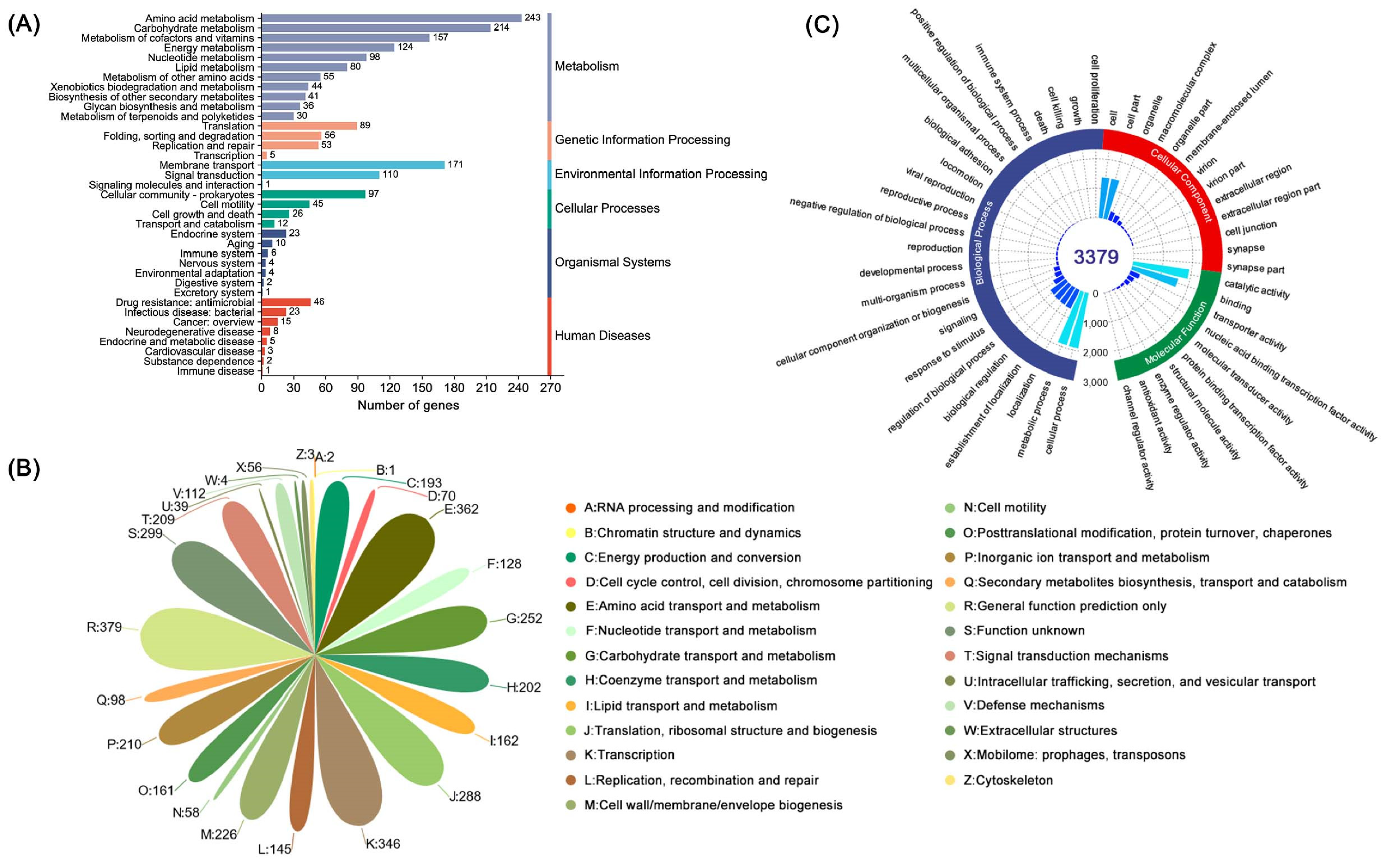 Microorganisms 12 01168 g003