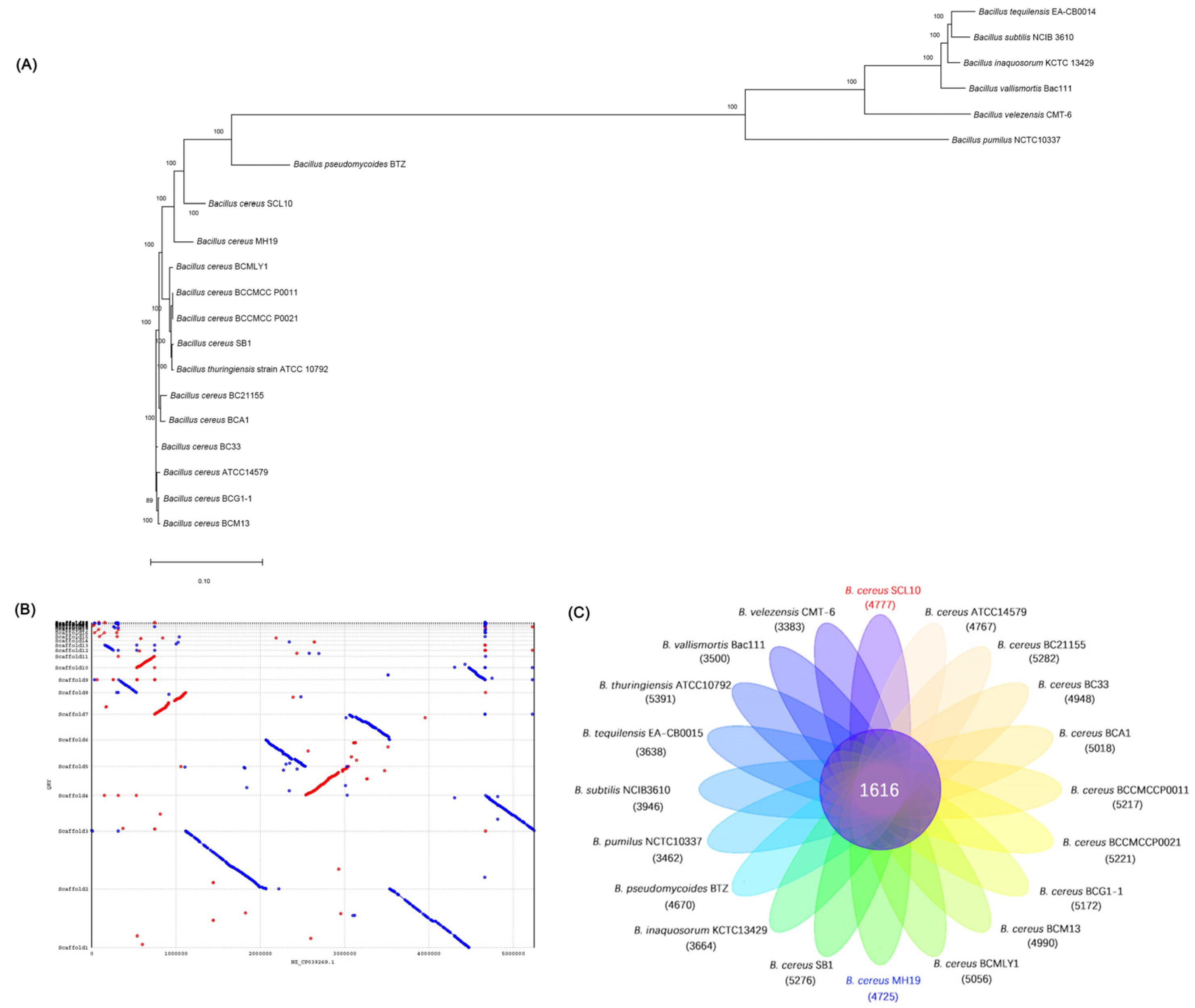 Microorganisms 12 01168 g008