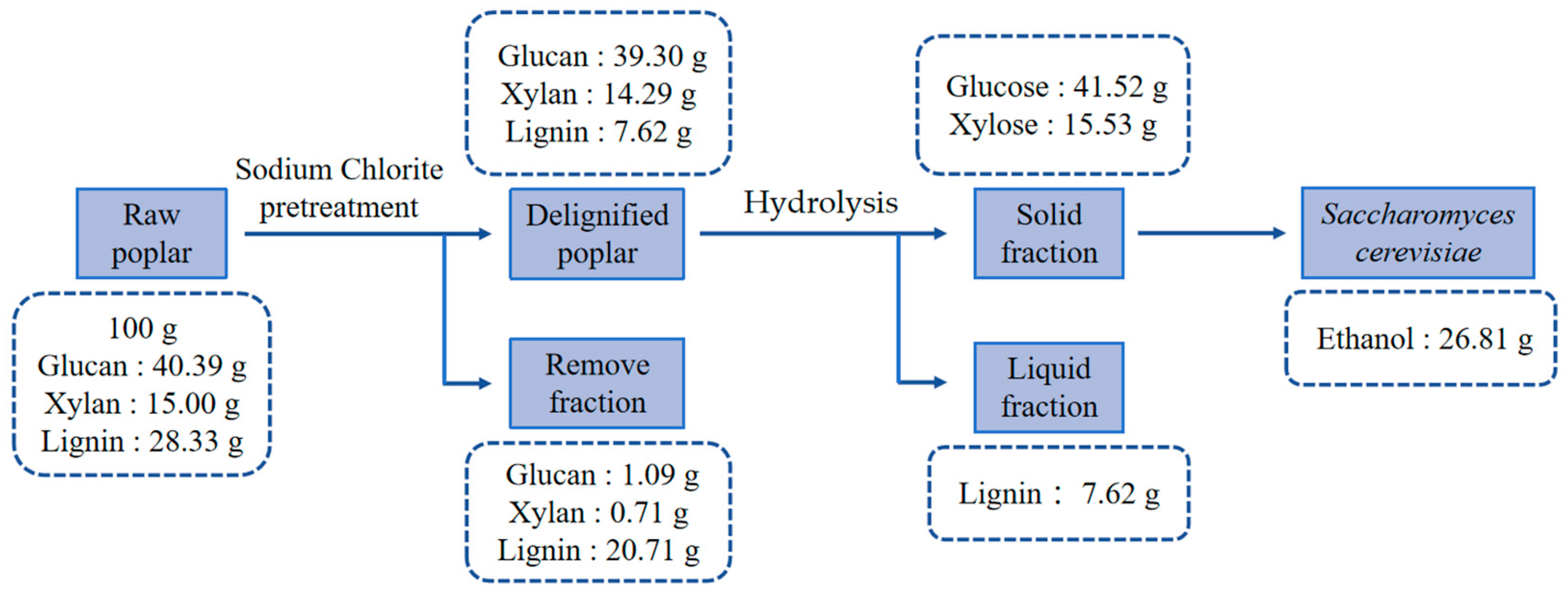 Microorganisms 12 01174 g006