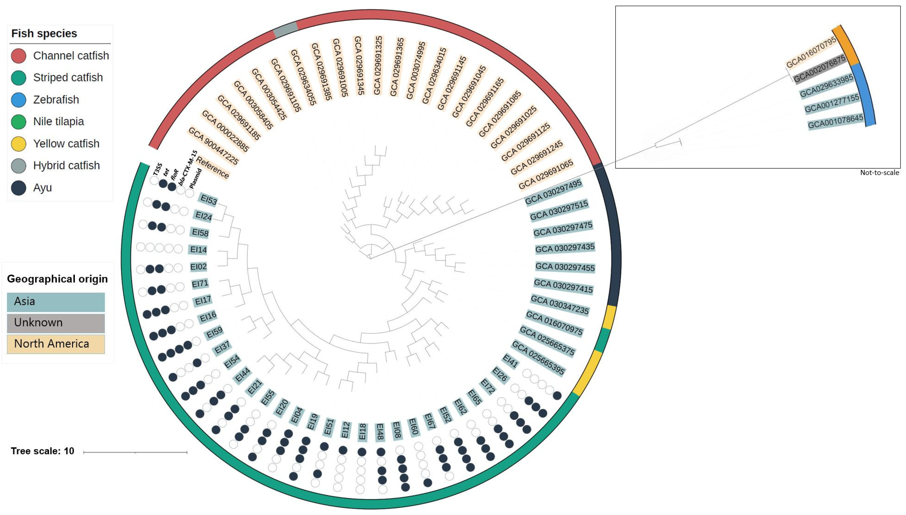 Microorganisms 12 01182 g002