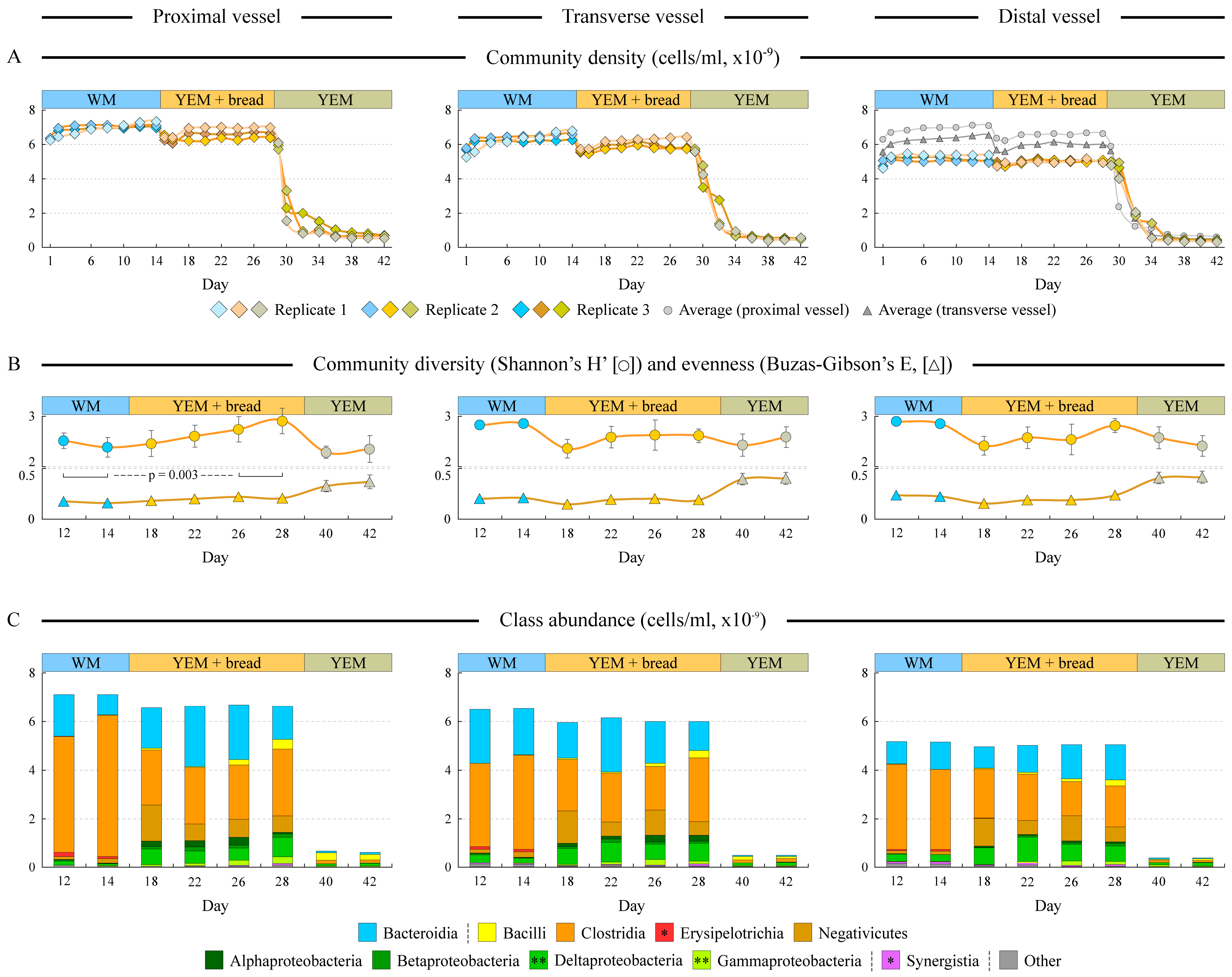 Microorganisms 12 01189 g002
