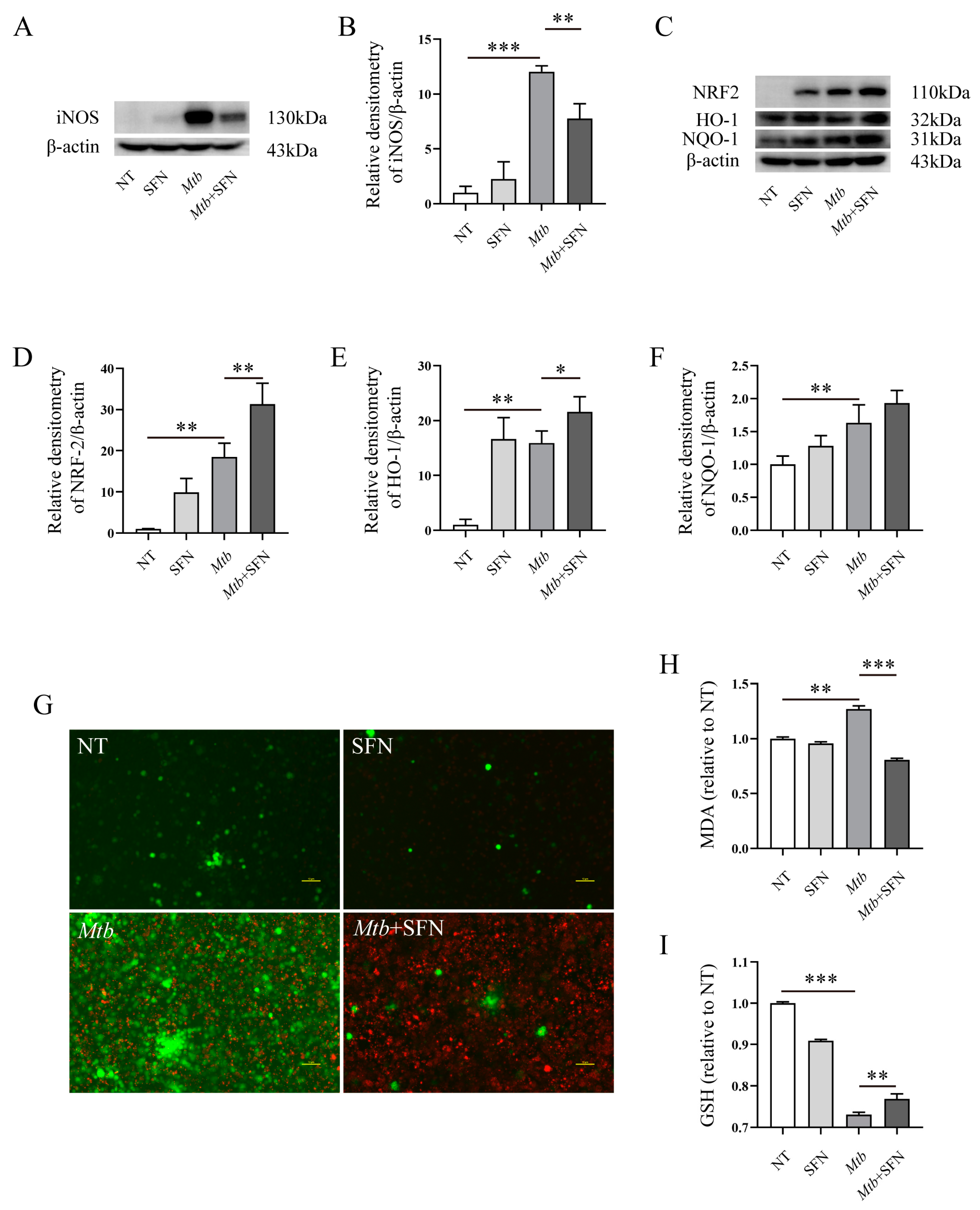 Microorganisms 12 01191 g002