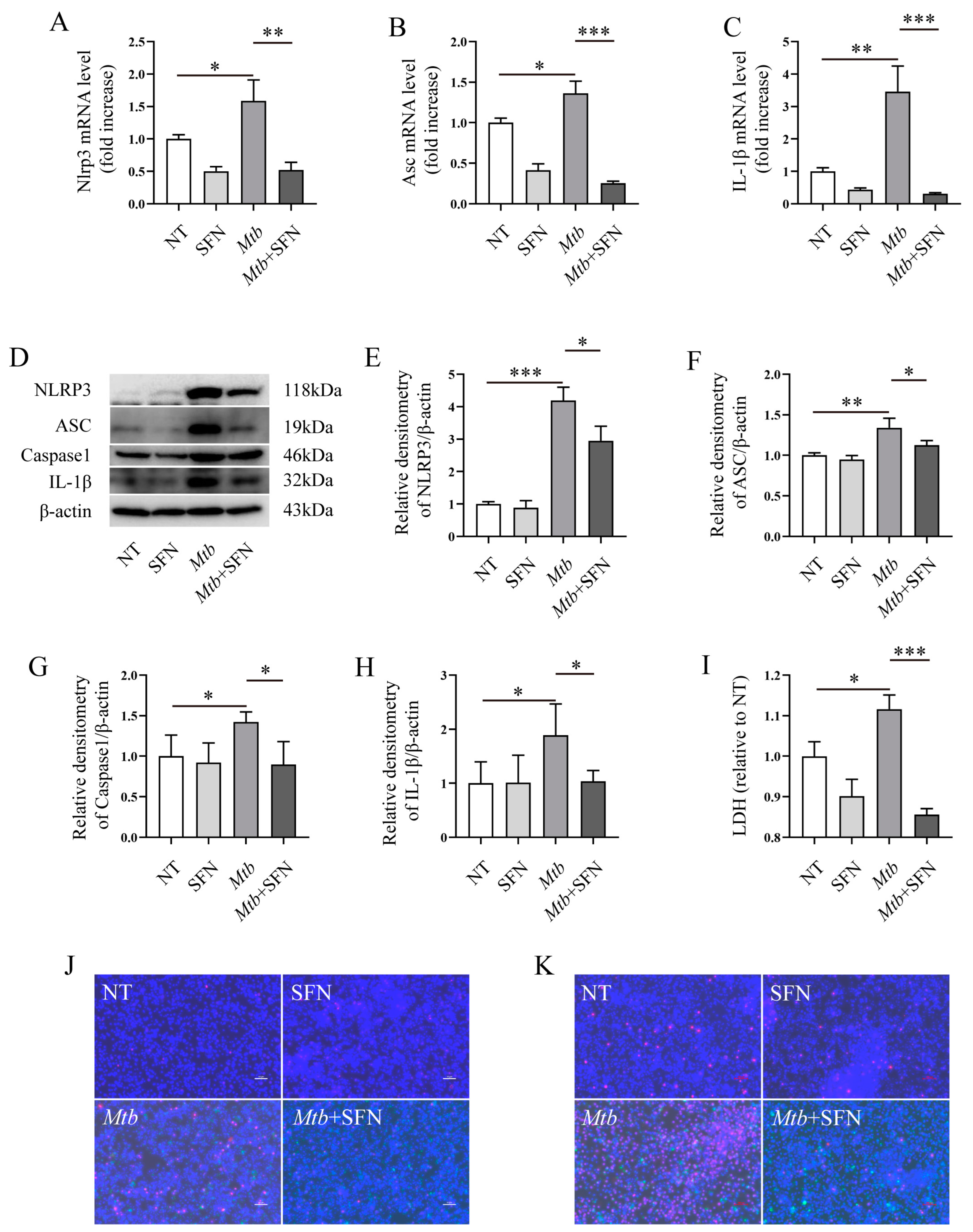 Microorganisms 12 01191 g005