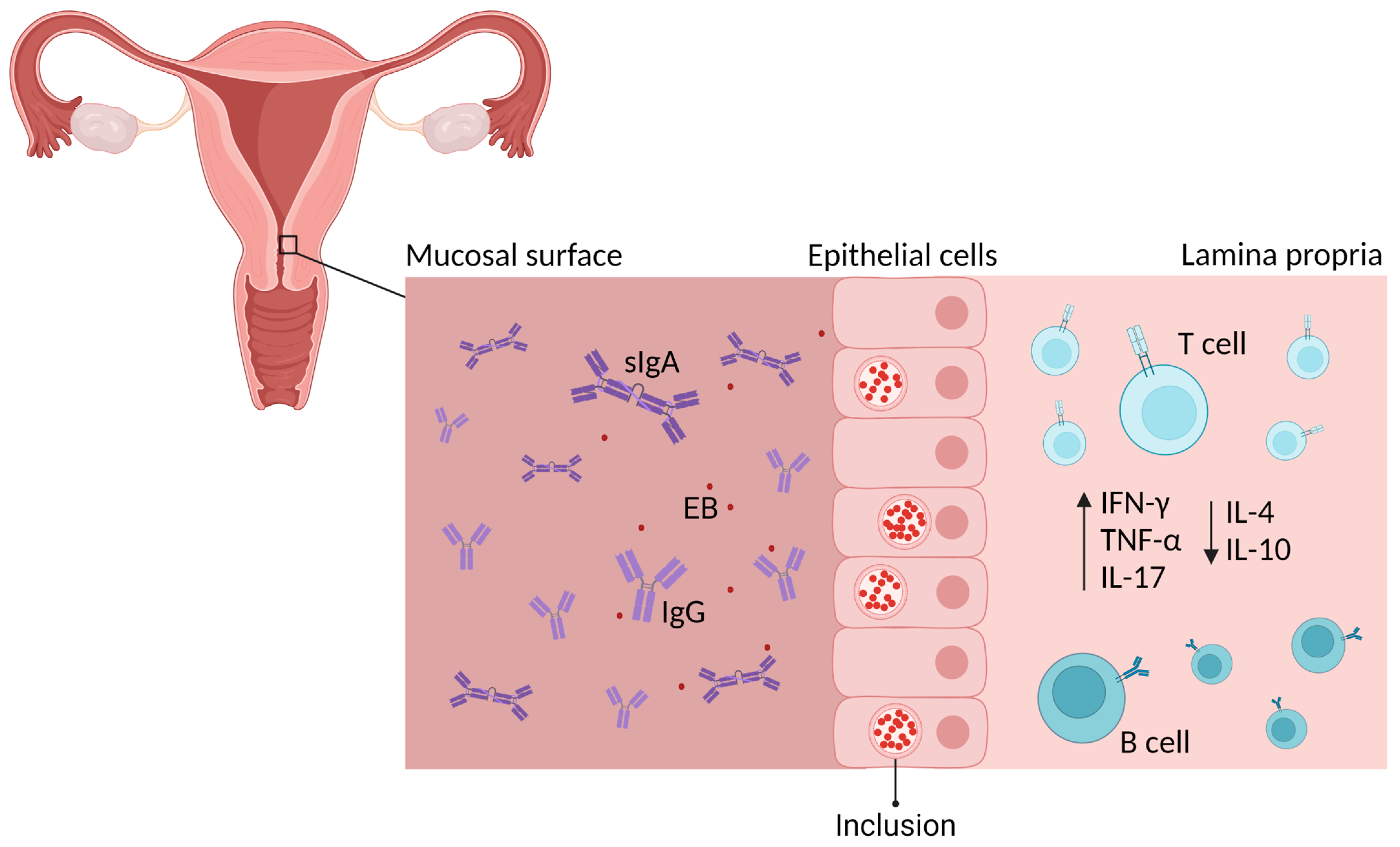 Microorganisms 12 01196 g001