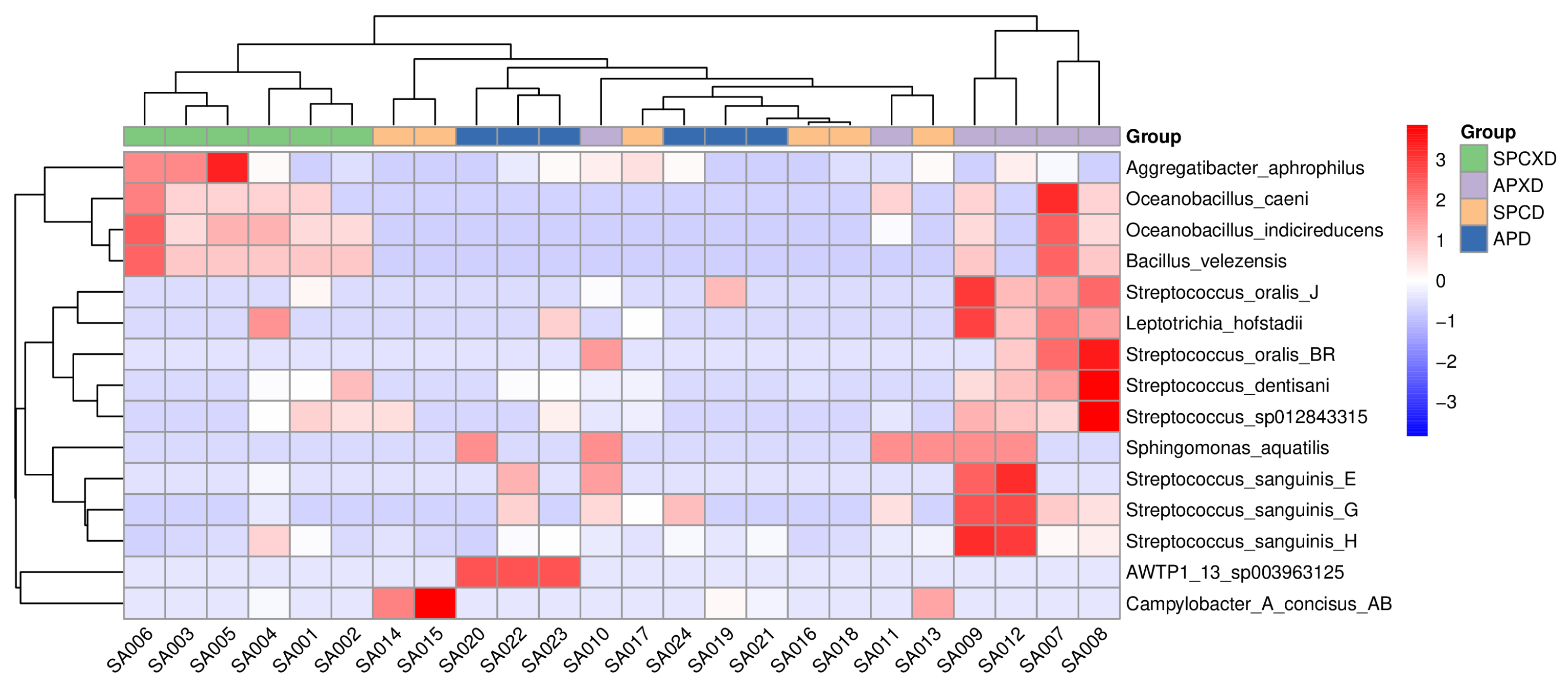 Microorganisms 12 01197 g002