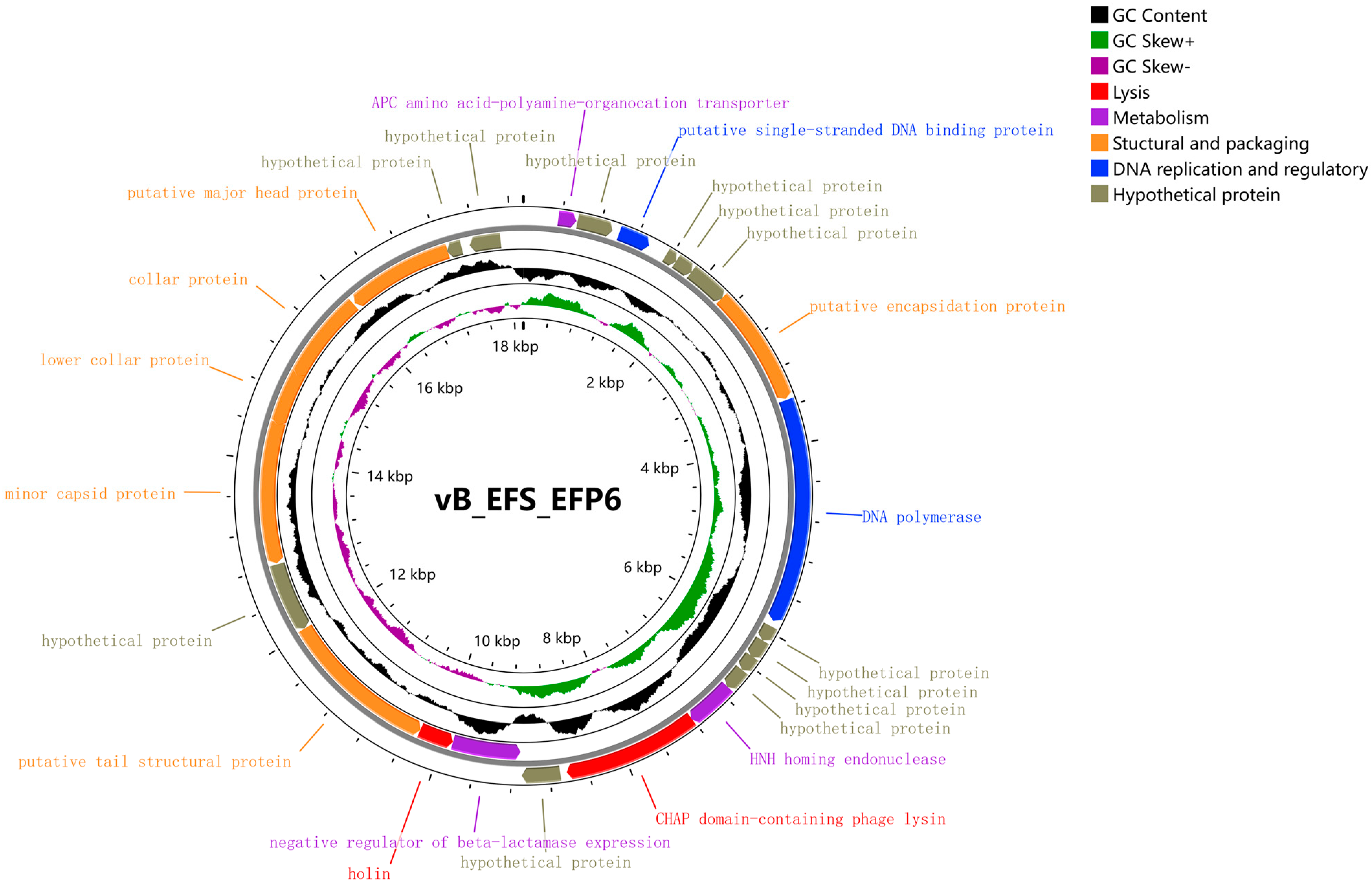 Microorganisms 12 01202 g004