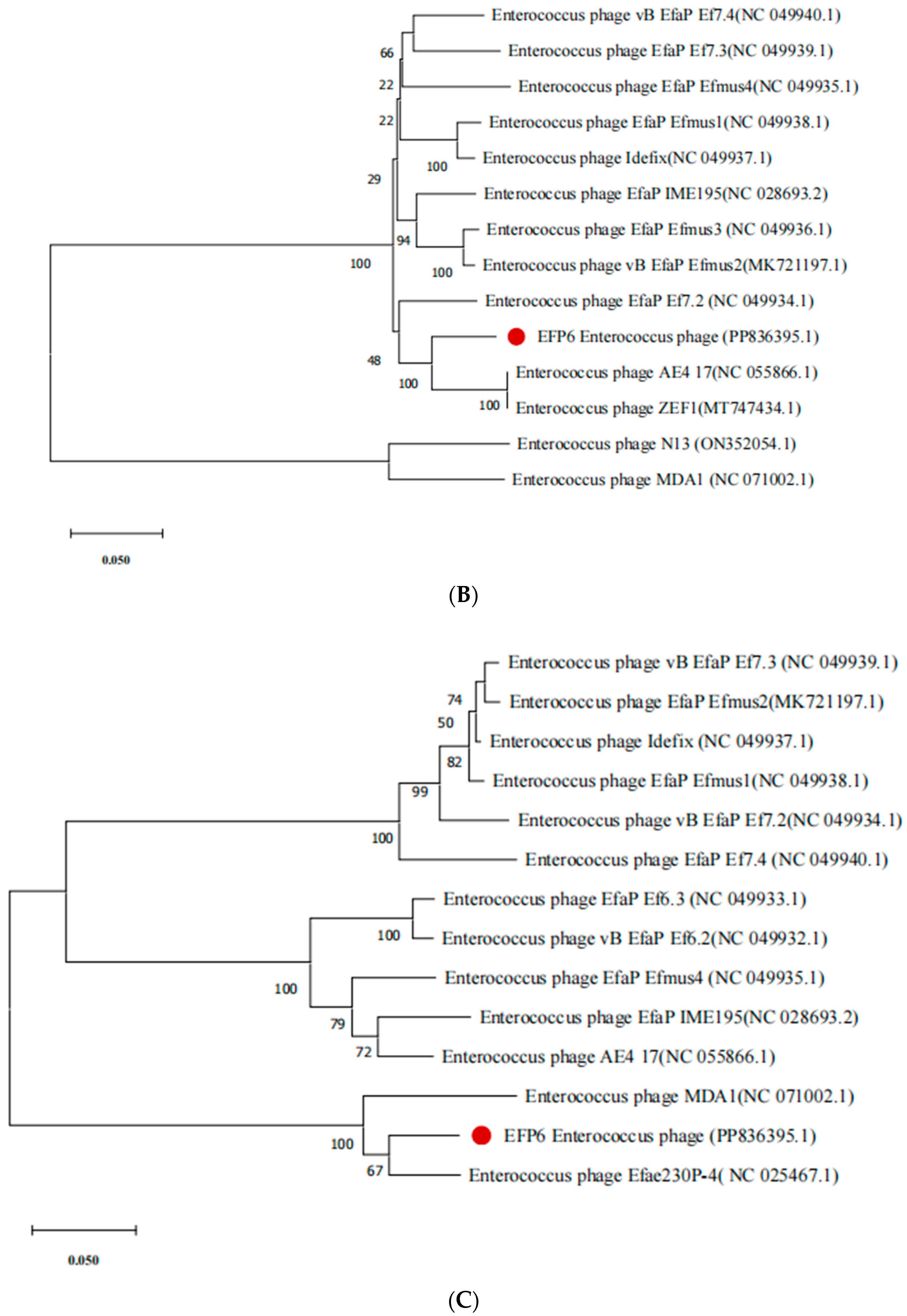 Microorganisms 12 01202 g005b