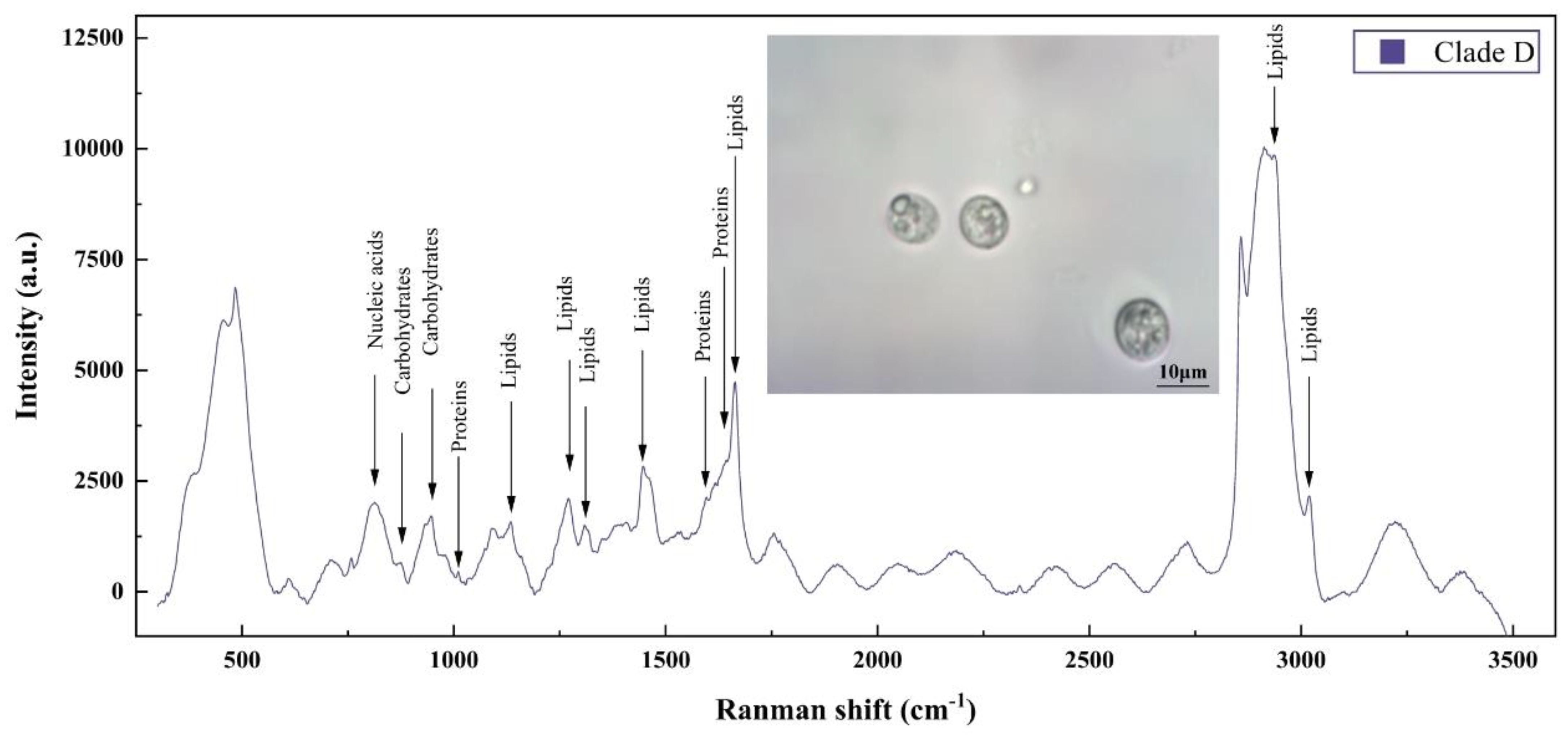 Microorganisms 12 01217 g002