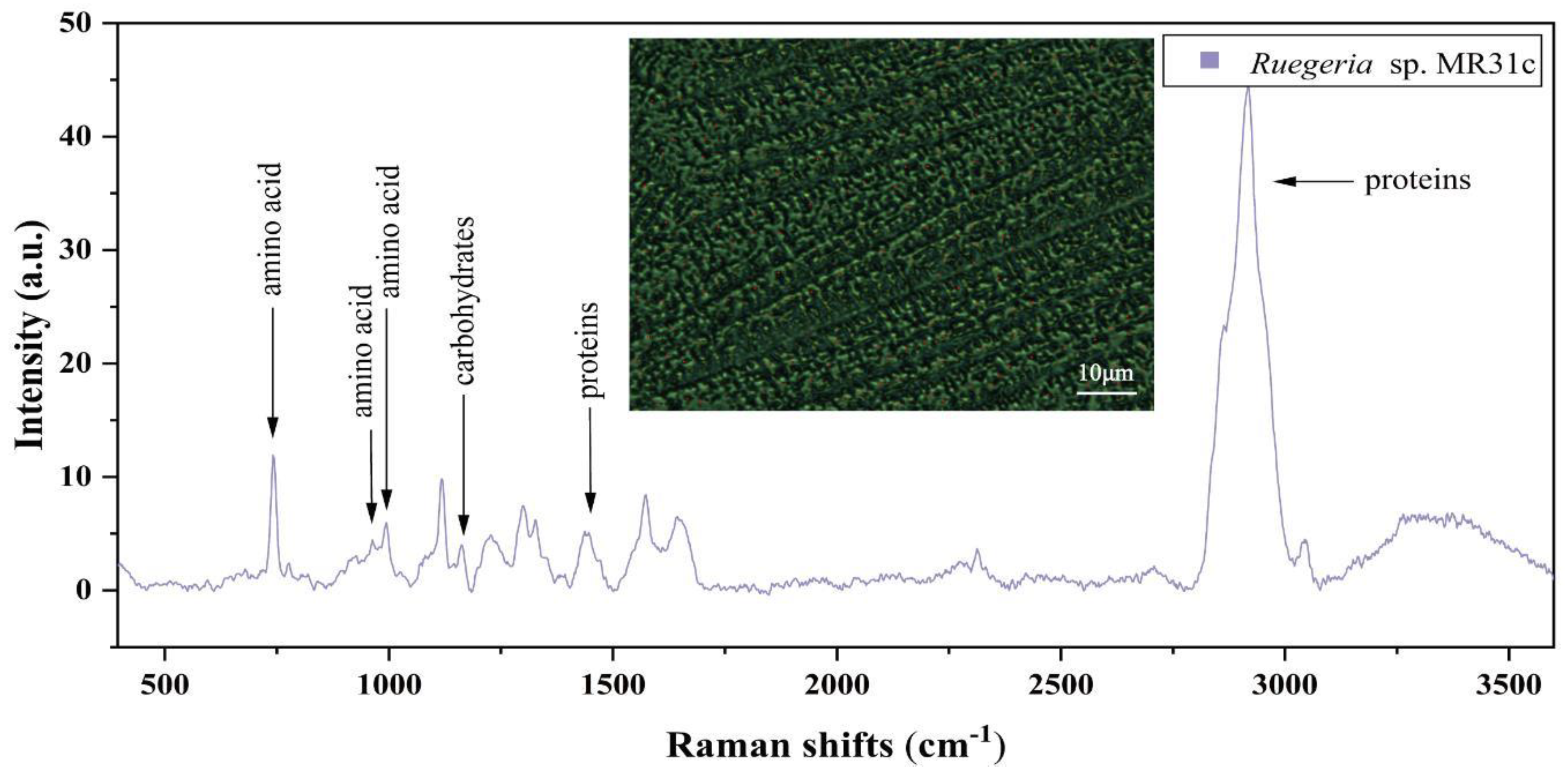 Microorganisms 12 01217 g003