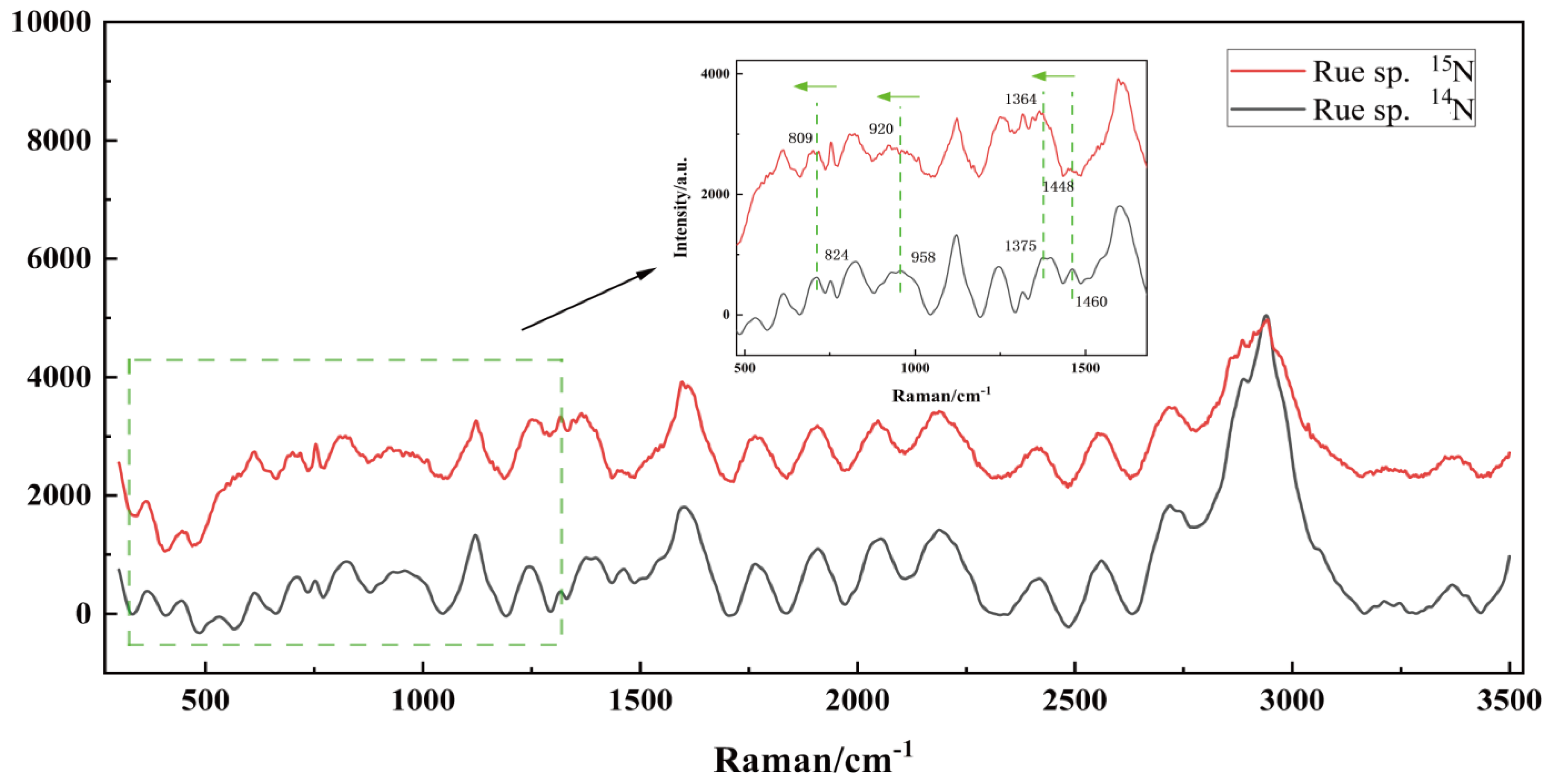Microorganisms 12 01217 g004