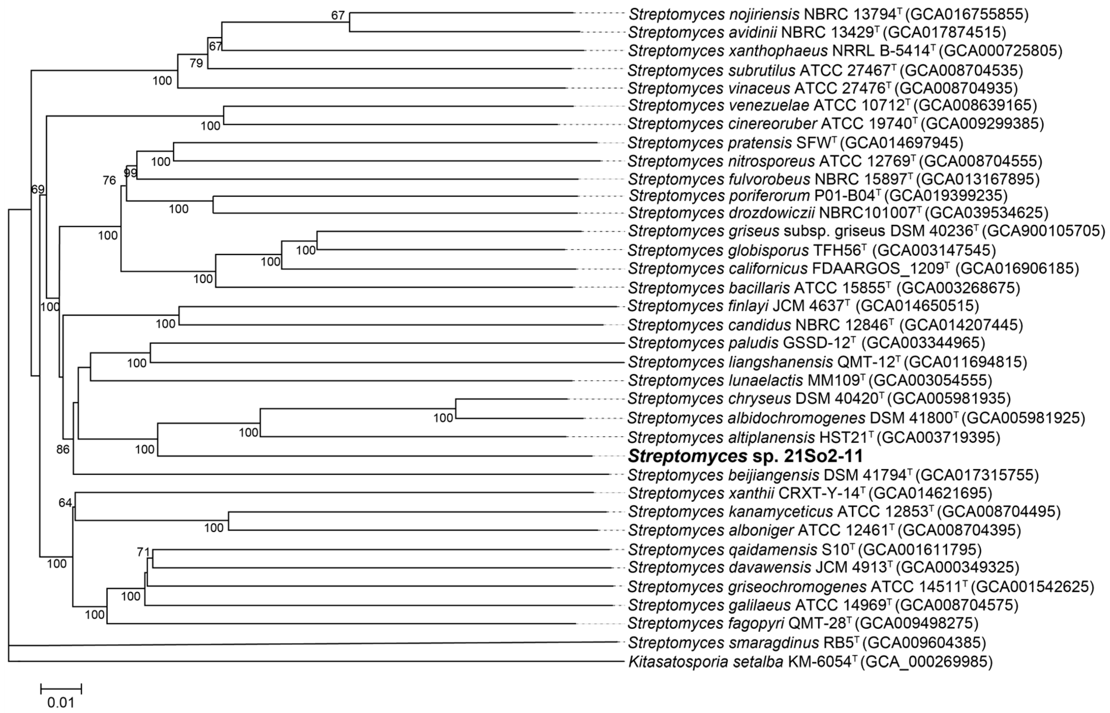 Microorganisms 12 01228 g002
