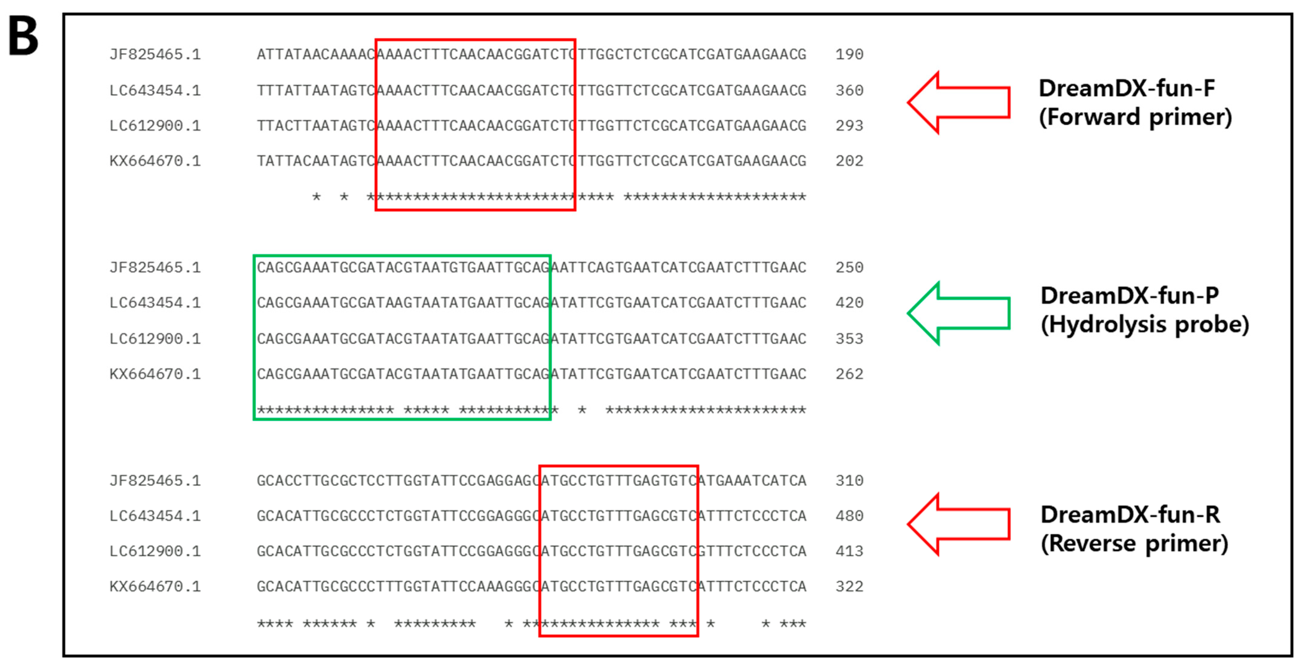 Microorganisms 12 01234 g001b