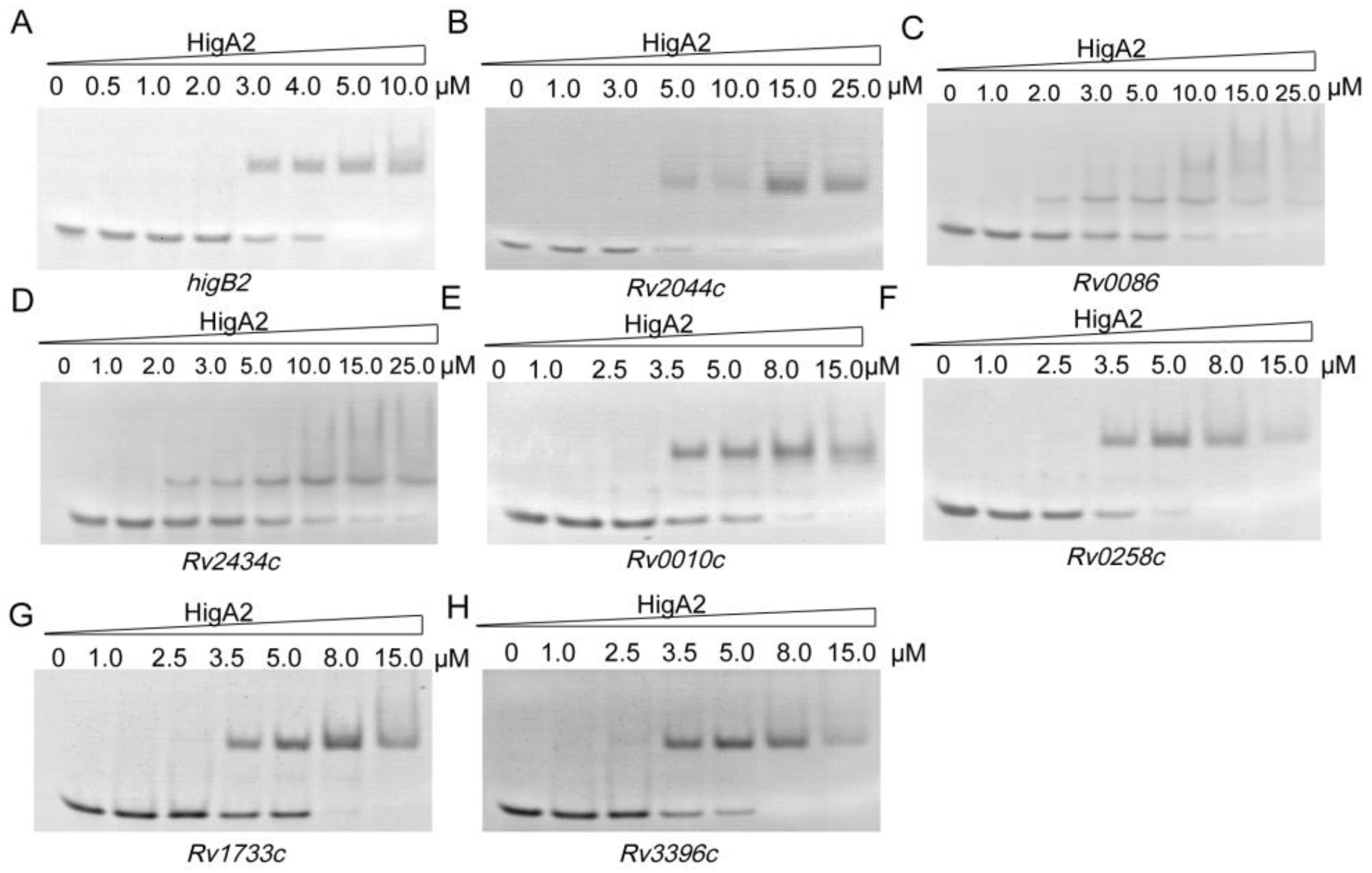 Microorganisms 12 01244 g004 Microorganisms 12 01244 g004