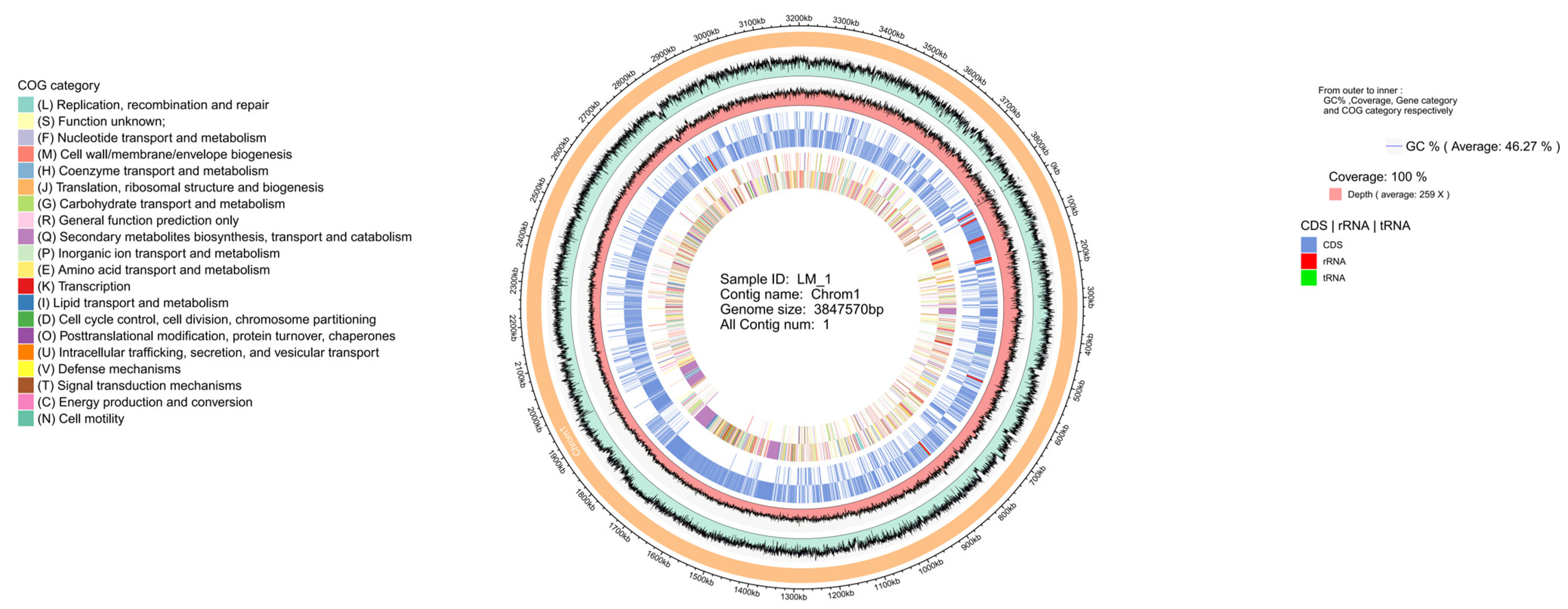Microorganisms 12 01246 g003