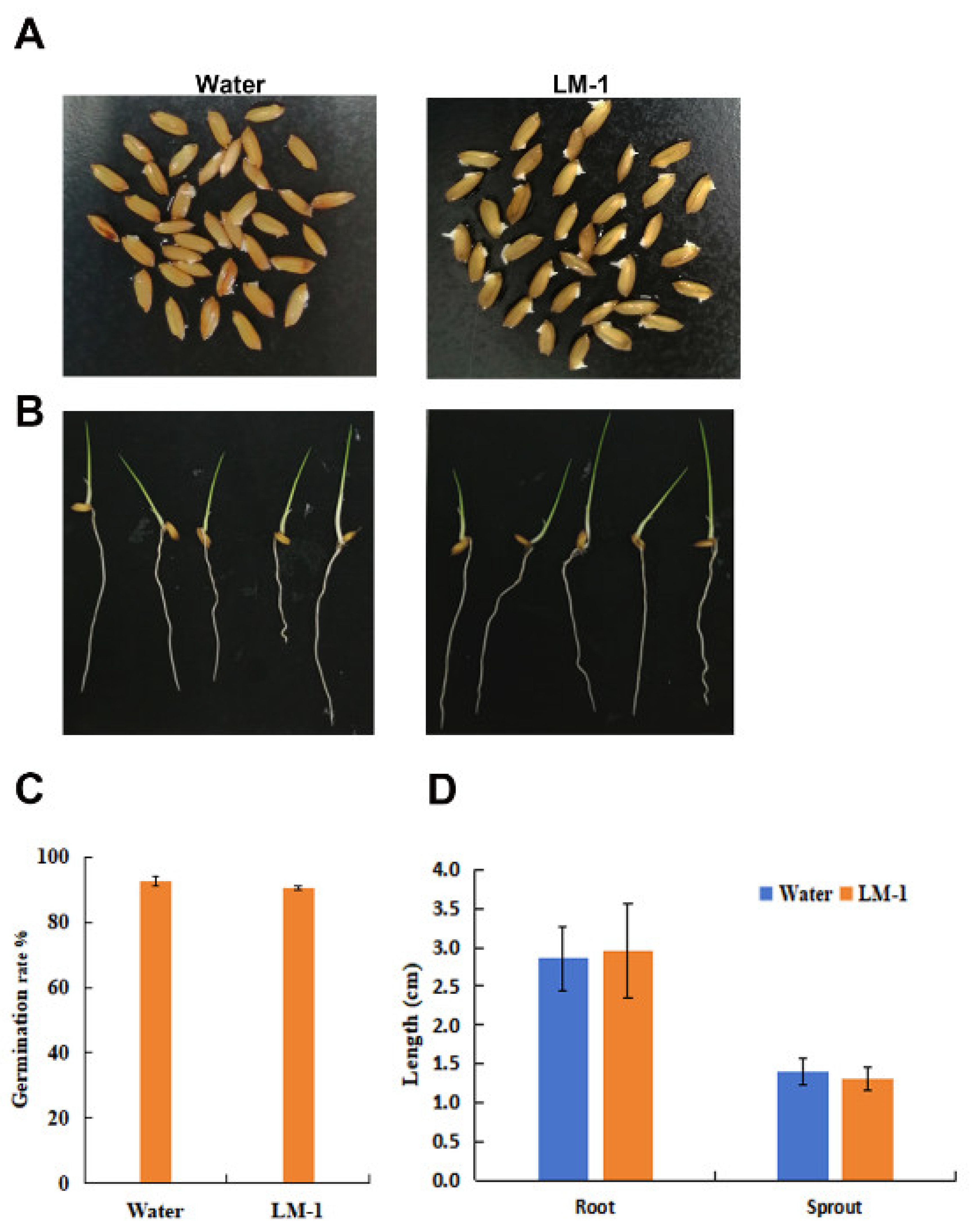 Microorganisms 12 01246 g011