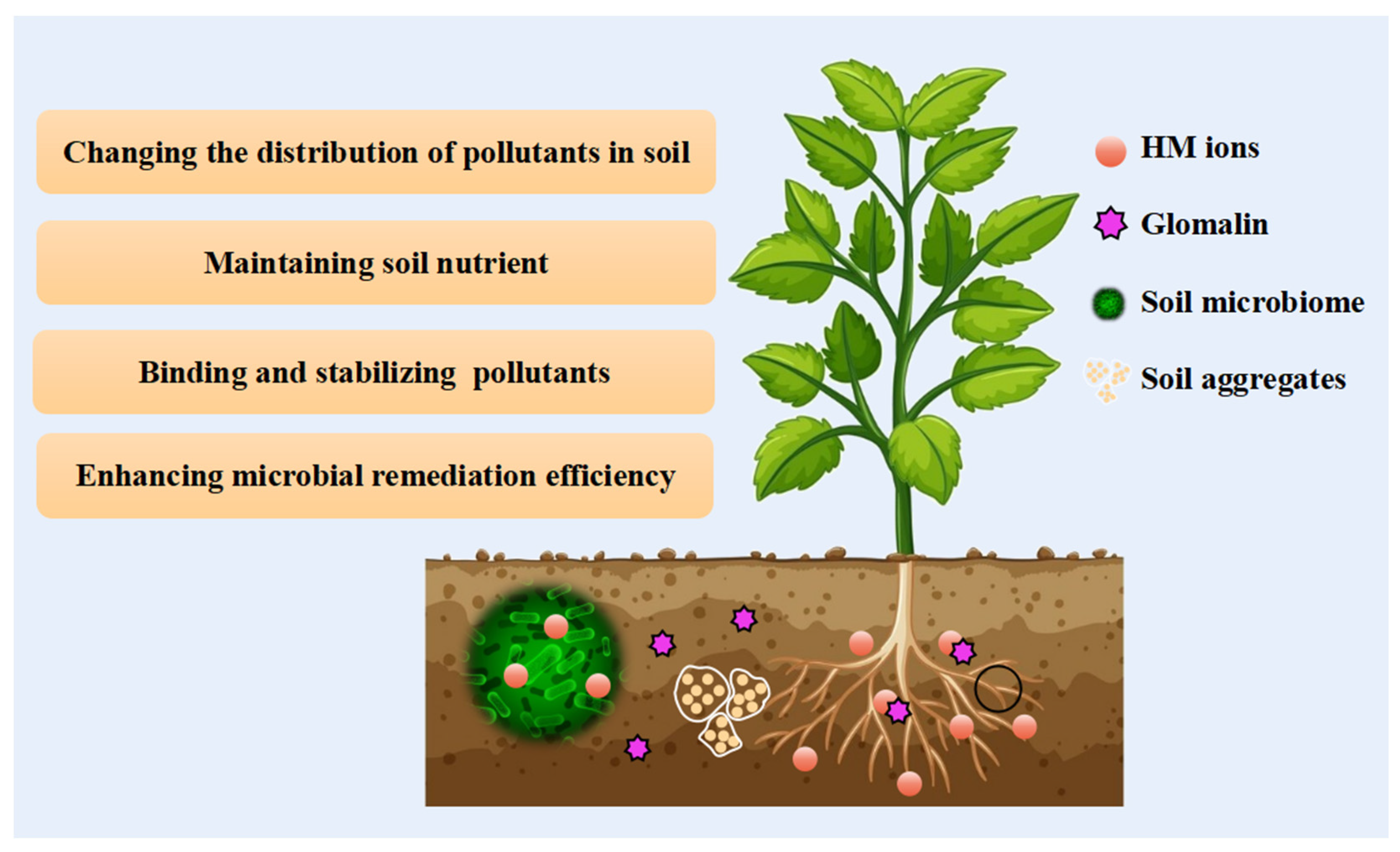 Microorganisms 12 01255 g003