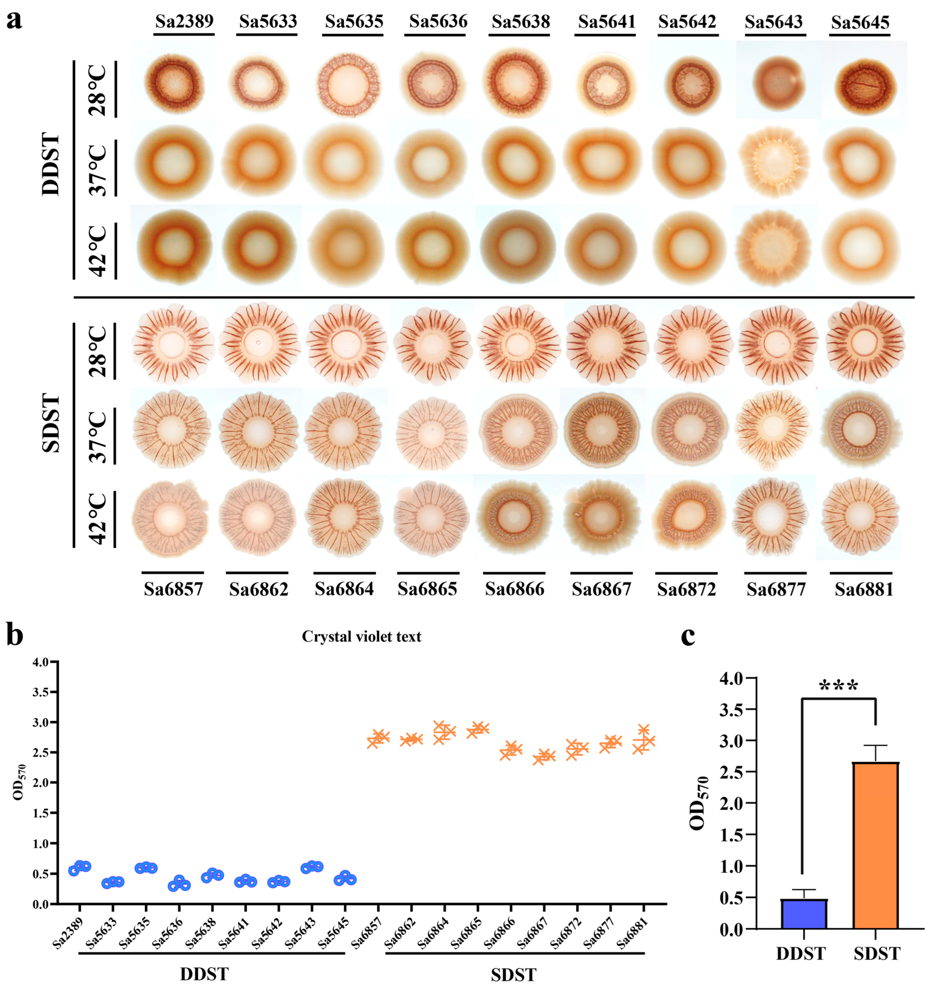 Microorganisms 12 01258 g002