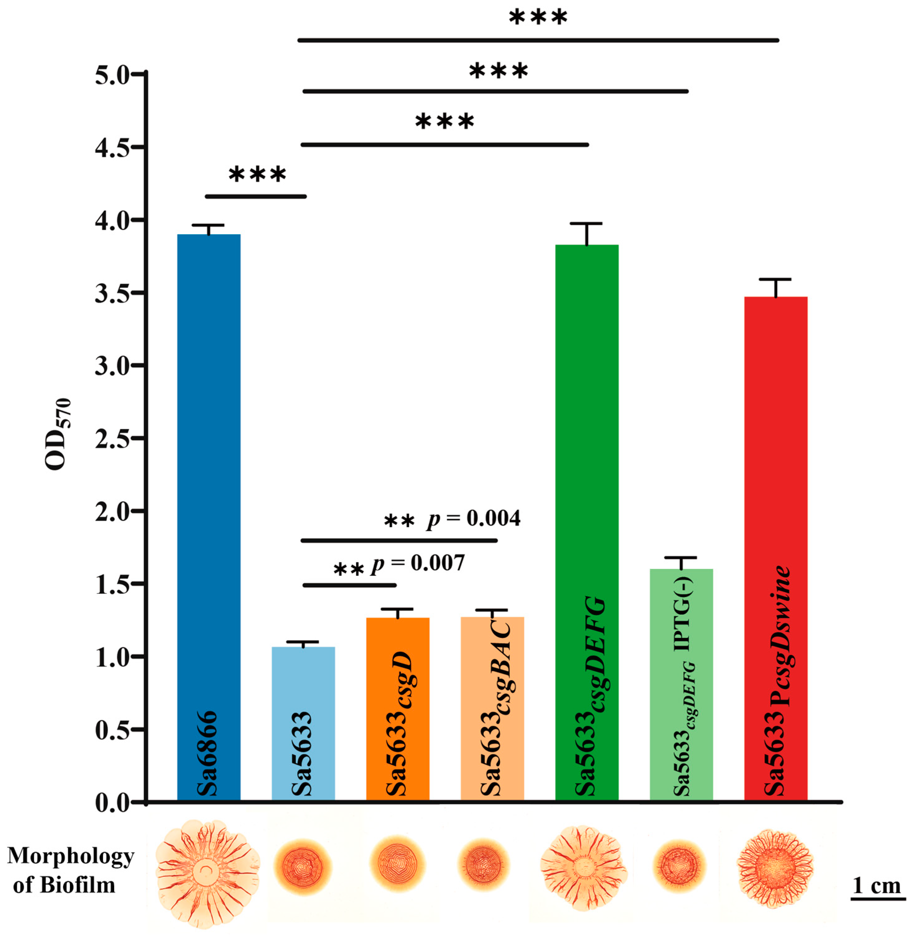 Microorganisms 12 01258 g005