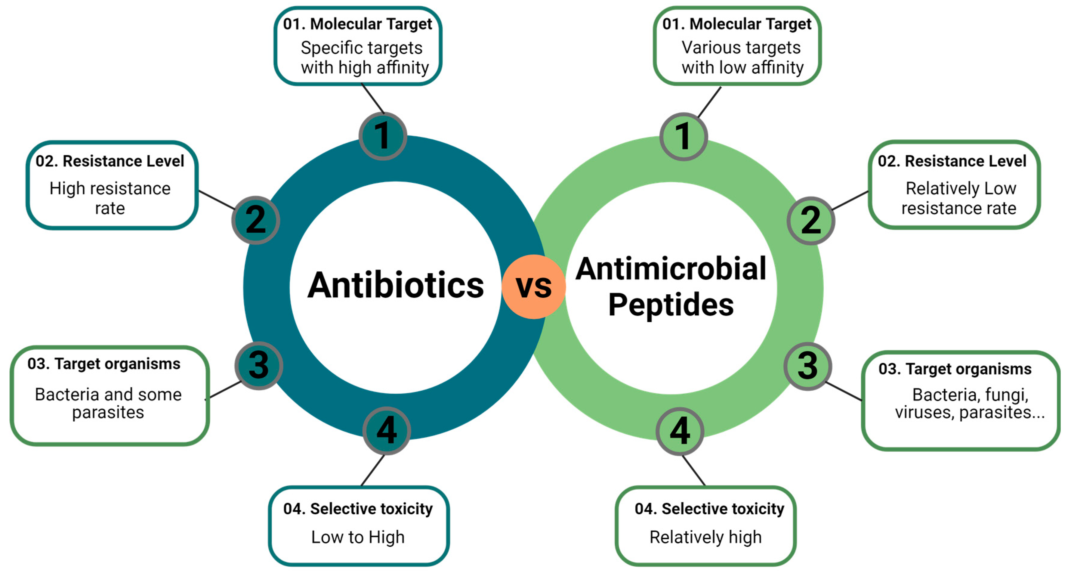 Microorganisms 12 01259 g001 Microorganisms 12 01259 g001