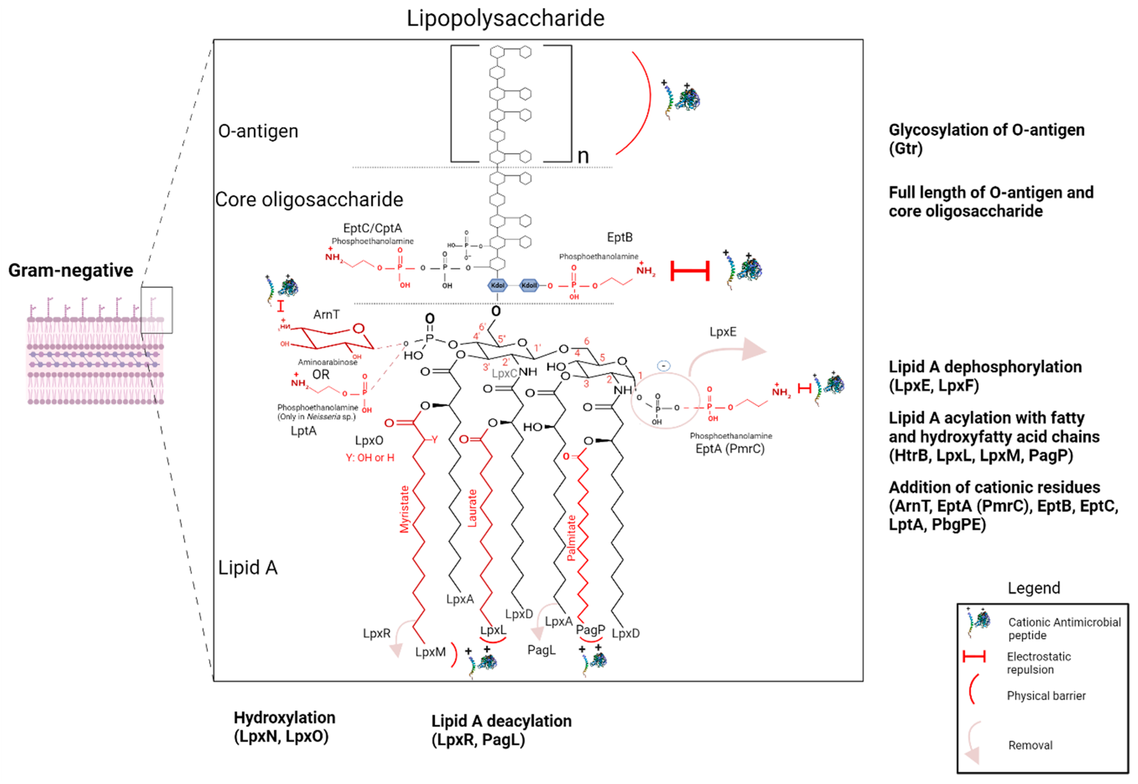 Microorganisms 12 01259 g003 Microorganisms 12 01259 g003